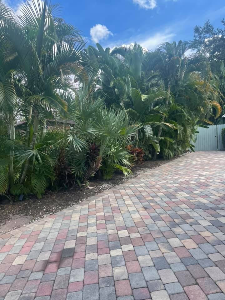 Brick driveway lined with lush tropical plants and palm trees under a blue sky.