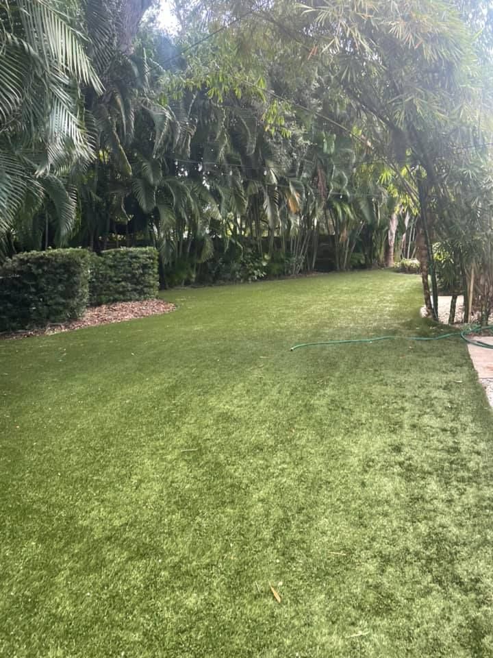 Lush green lawn bordered by a hedge and tall trees, bathed in sunlight.