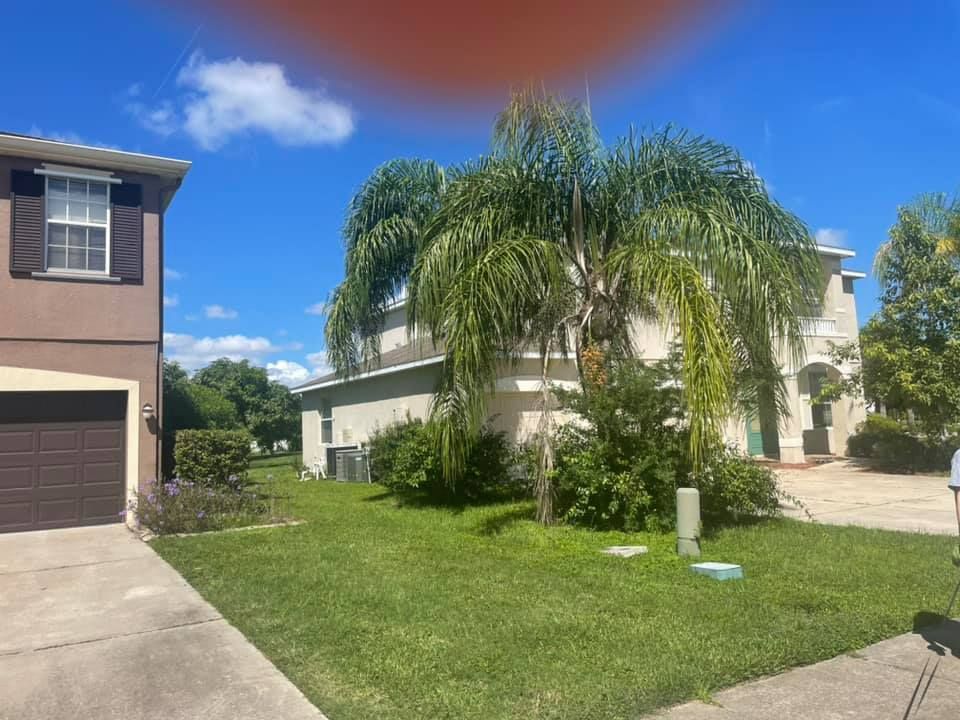 Two-story house with brown garage door, green lawn, palm tree, and blue sky.