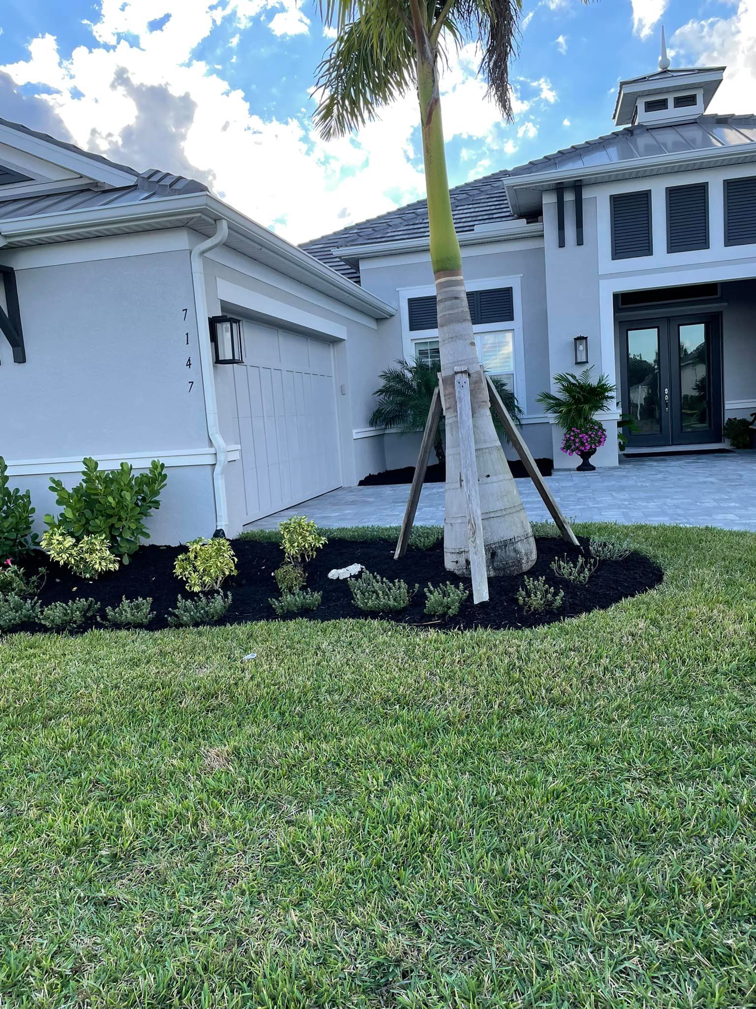 Exterior of a light-colored house with manicured lawn, landscaping, and a palm tree.