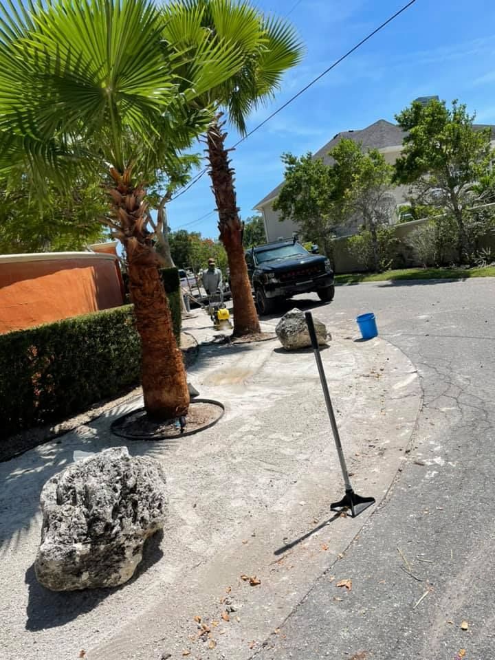 Palm trees on a sidewalk, next to a street. A truck and tools are present. Sunny day.