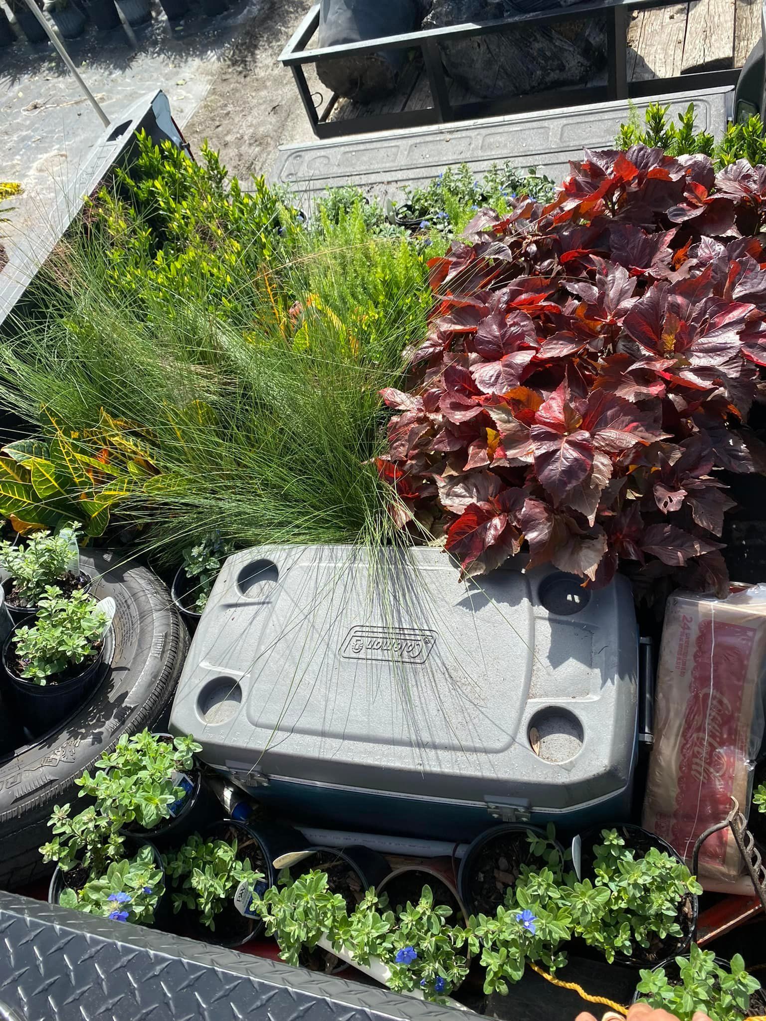 Gray grill surrounded by plants and tires, outdoors.