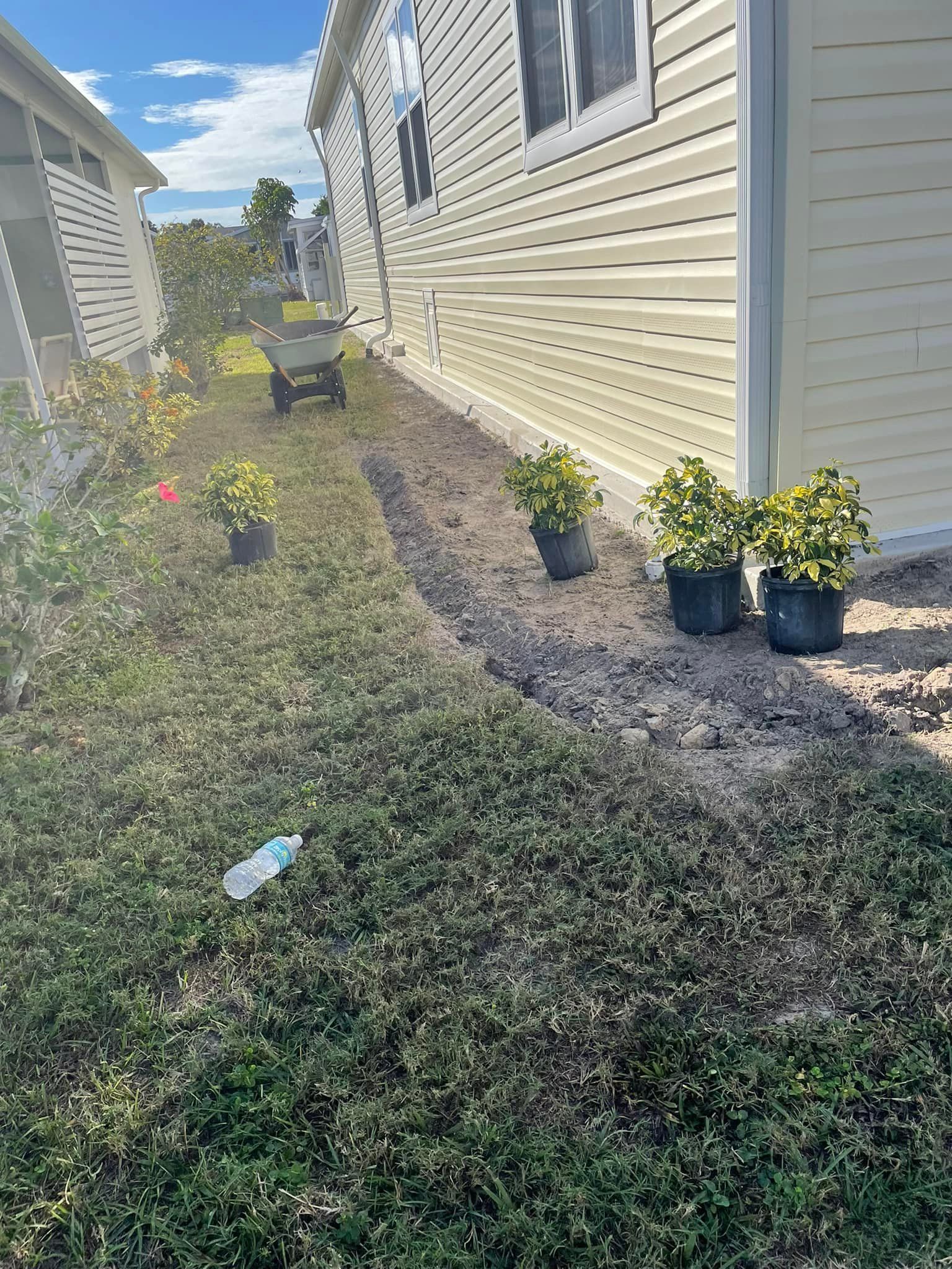 A row of potted plants along a house. A wheelbarrow is in the background. Sunny day.