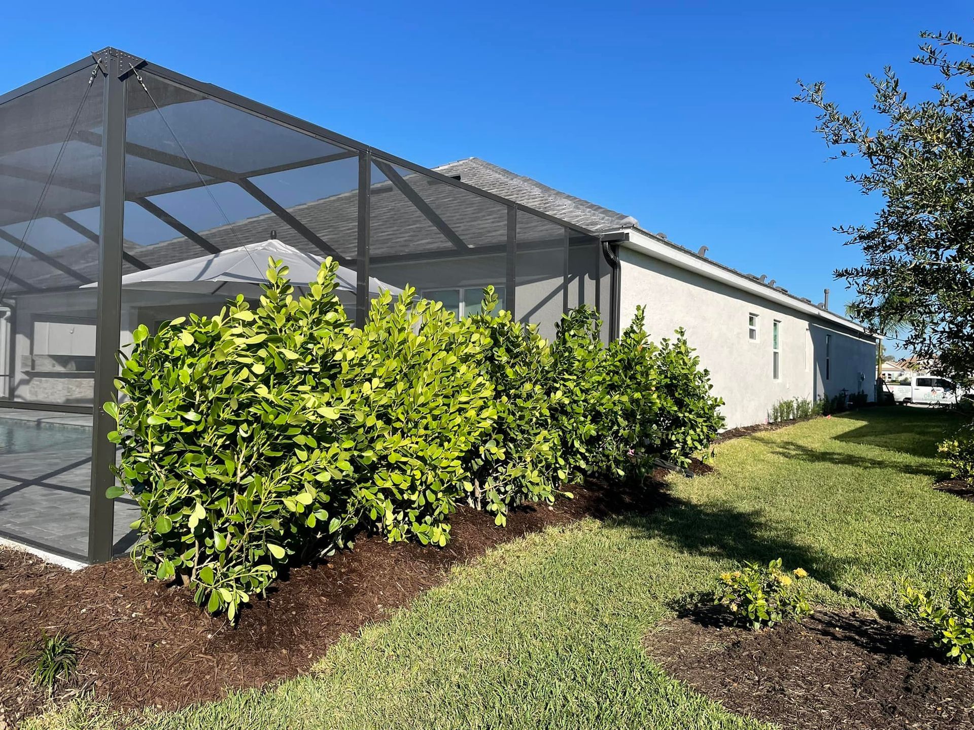 Exterior view of house with screened-in pool, bushes in mulch bed, and green grass under a clear blue sky.
