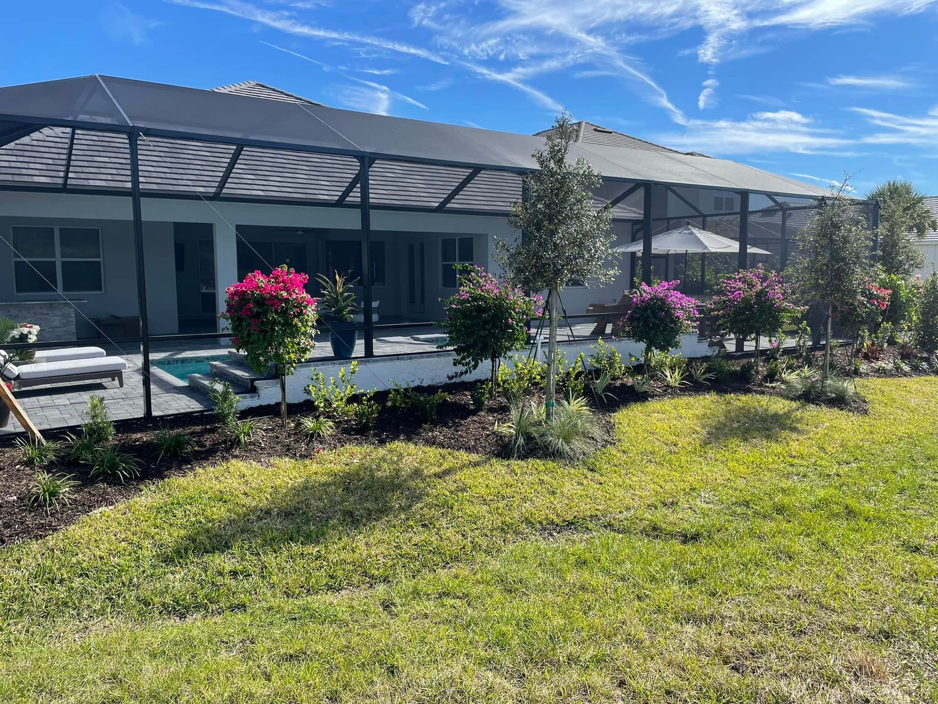 Backyard with a screened patio, landscaping, and a blue sky.