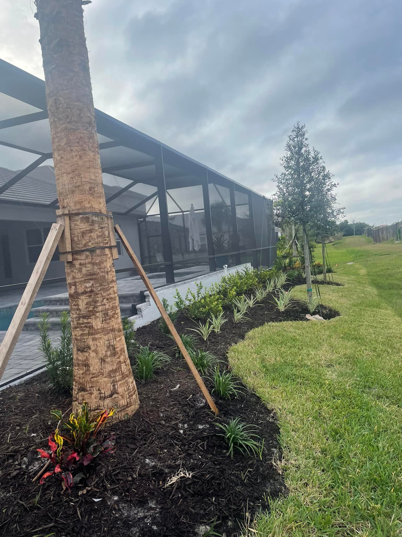 Landscaped backyard with trees and shrubs next to a screened patio, bordering a grassy area under cloudy skies.