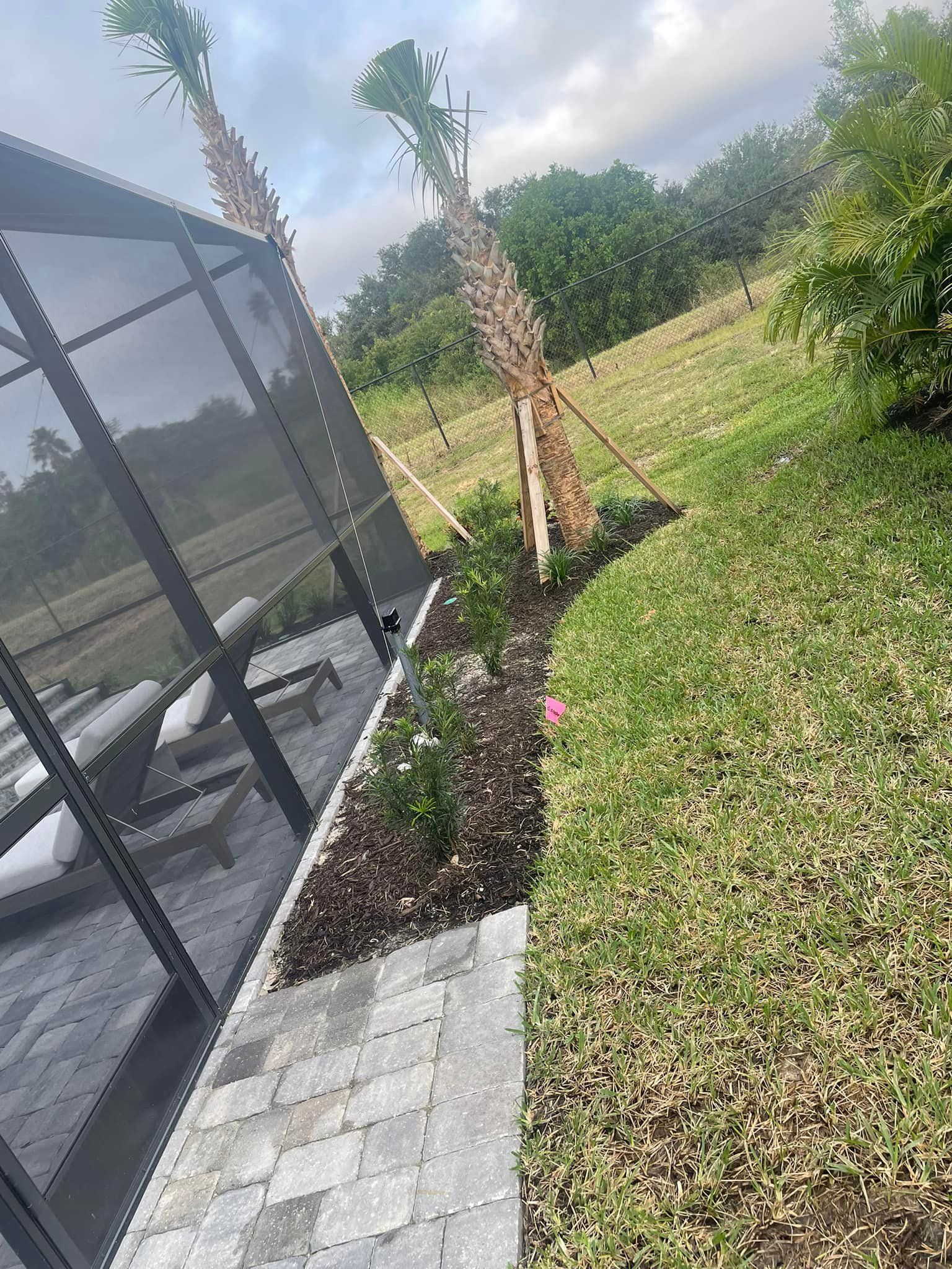 Backyard with pool enclosure, landscaping, palm trees, and green lawn.