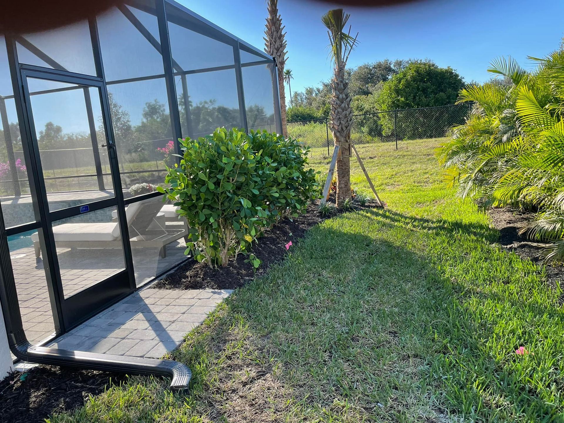 Pool enclosure next to a lawn with bushes and palm trees. Sunny day.