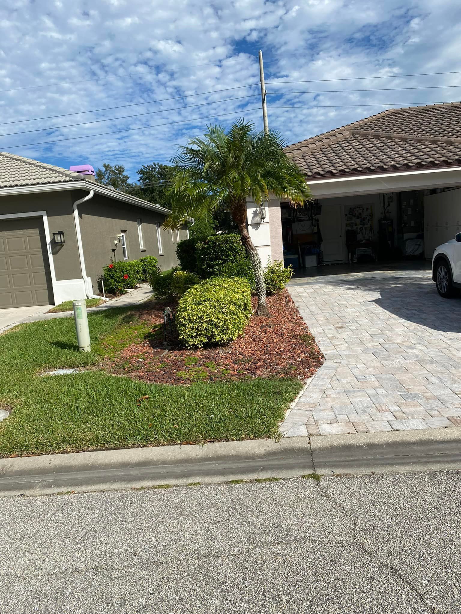 House with driveway and landscaped front yard. Palm tree and shrubs in mulch bed.