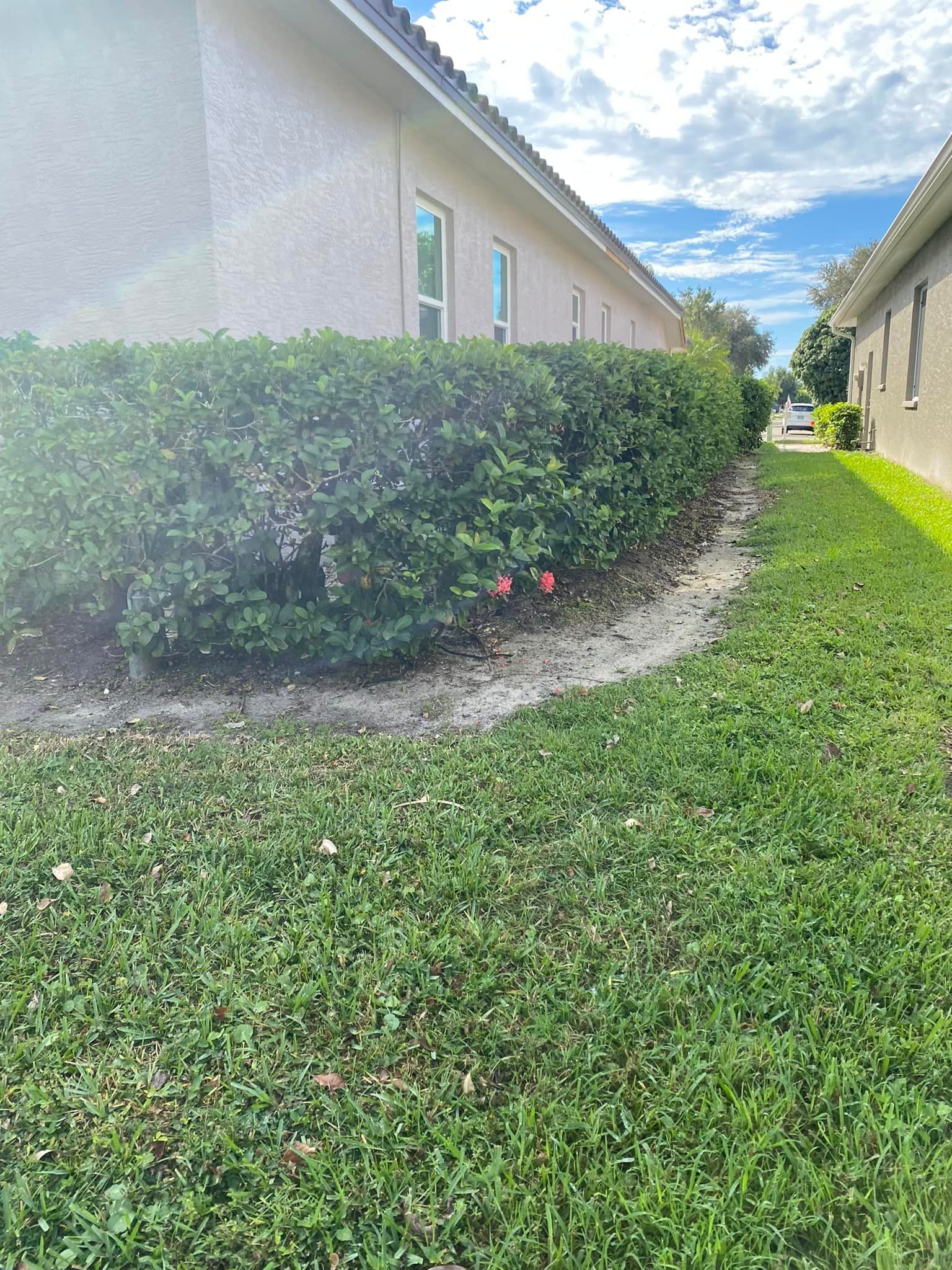 Green bushes line a building with windows, beside a grassy area and building. Sunny sky visible.