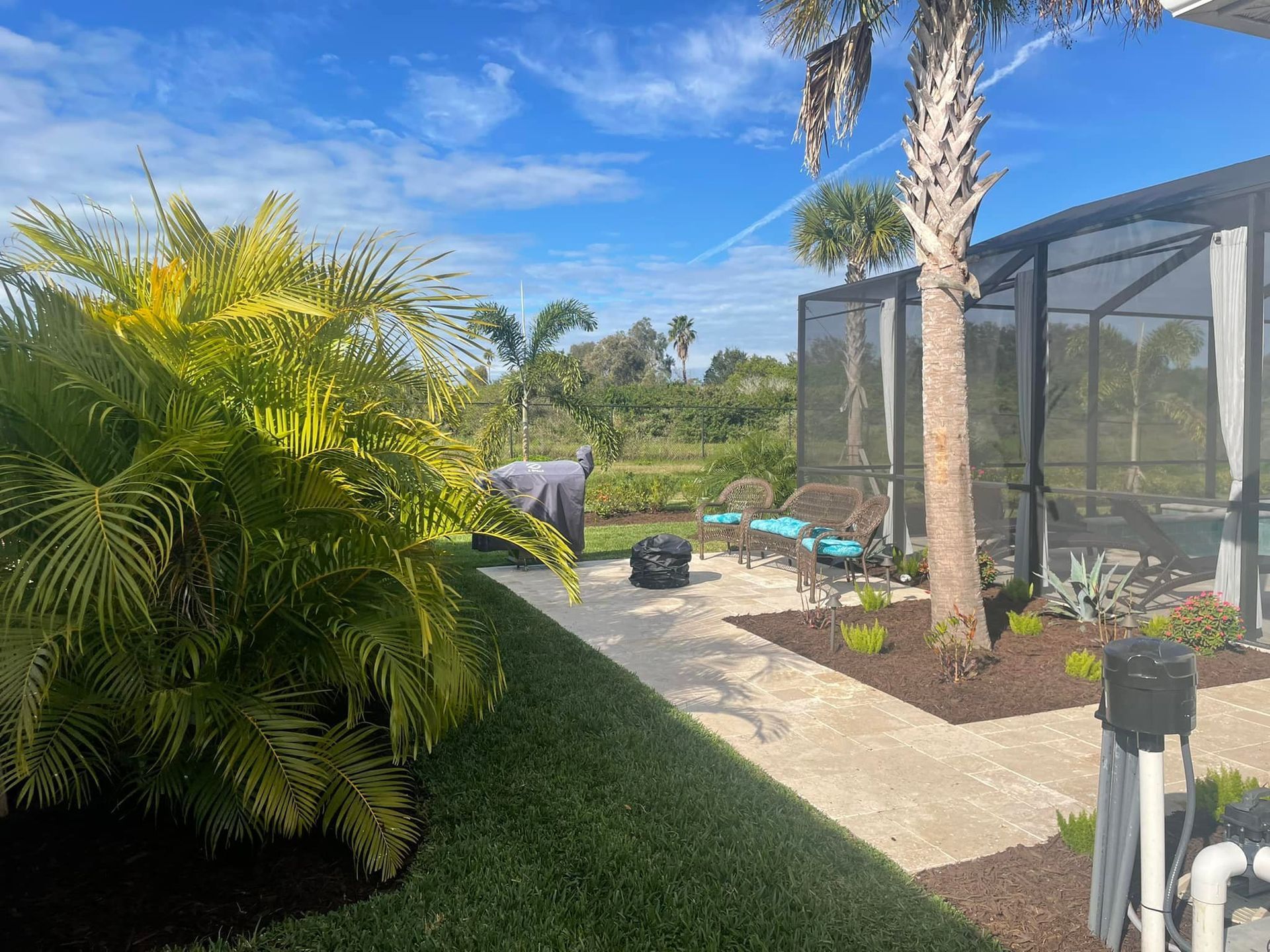 Palm trees frame a sunny outdoor patio with a pool enclosure, grill, and lush landscaping against a blue sky.
