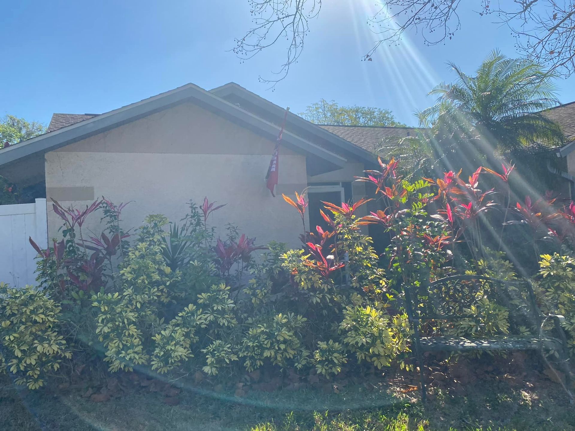Tan house with lush, colorful plants in front, bright sunlight.