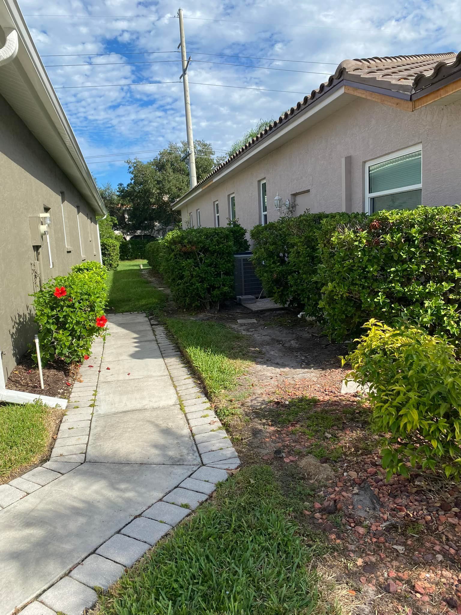 Narrow walkway between two houses, lined with bushes and small trees. Overcast sky.
