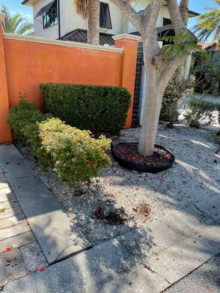 Orange wall with trimmed green shrubs, a tree, and a stone walkway.