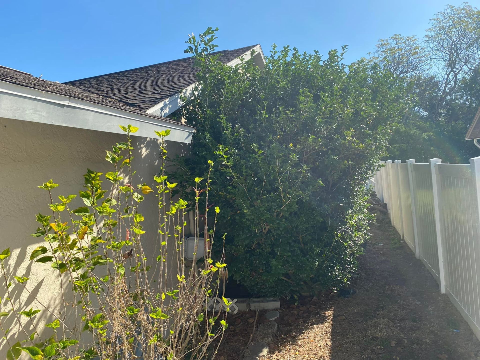 House exterior with greenery along a white fence and side of the building on a sunny day.