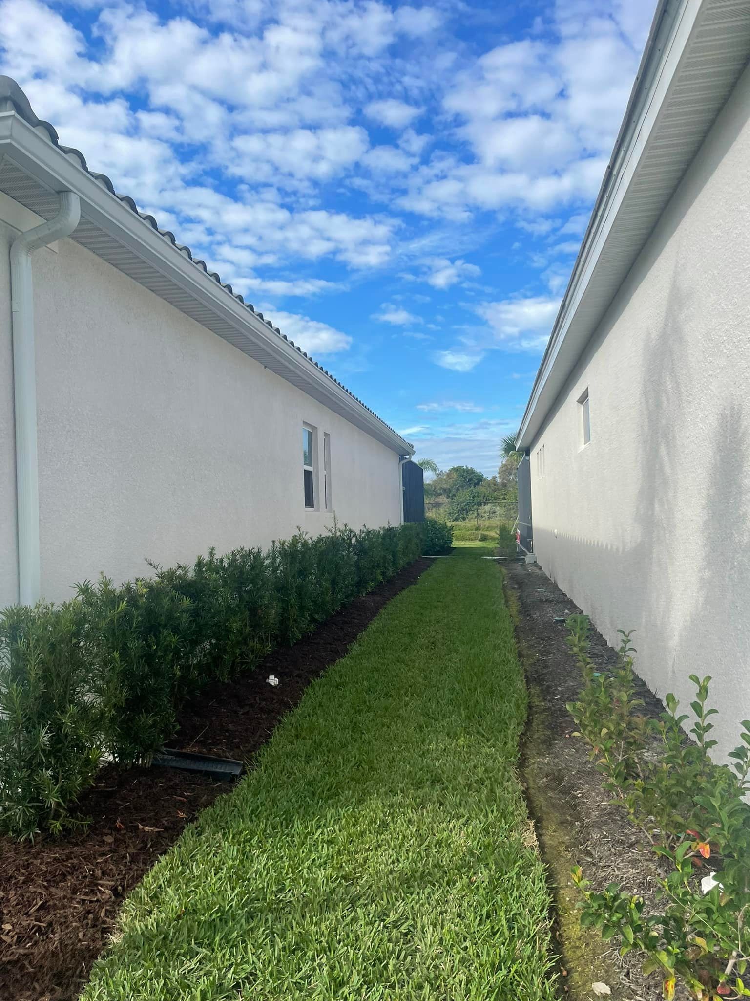 Narrow grassy yard between two white stucco buildings, green bushes, and blue sky with clouds.