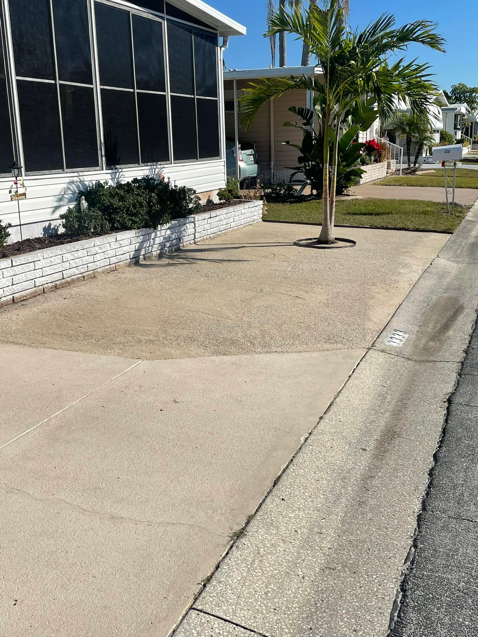 Concrete sidewalk and driveway with a small palm tree in a yard.