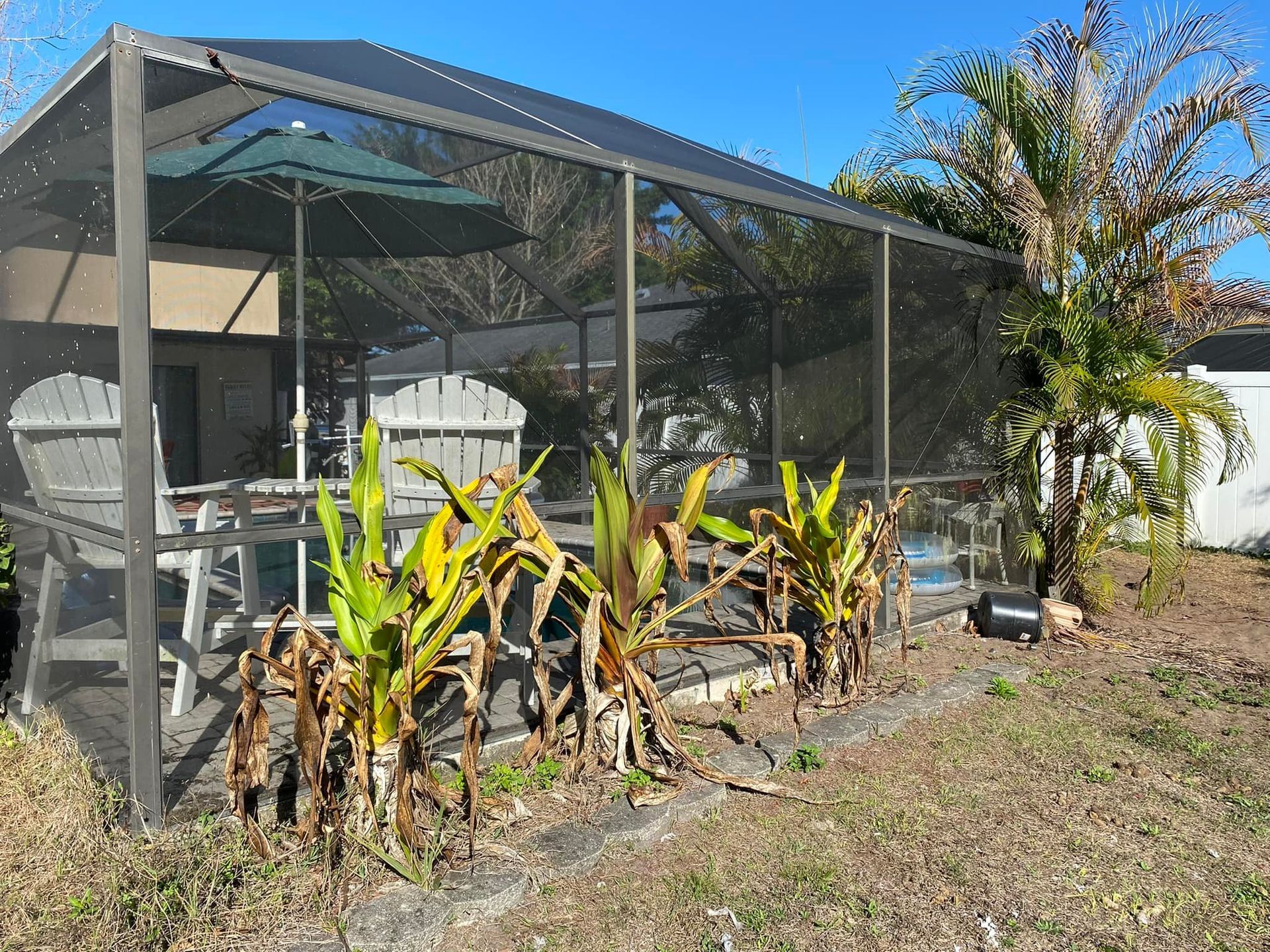Screened-in pool area with furniture, umbrella, and plants. Blue sky, brown grass, and bright sunlight.