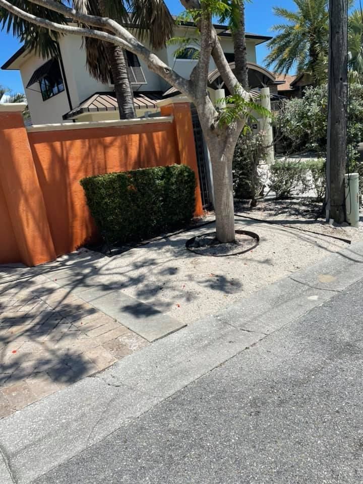 Orange wall with a green hedge and tree on the sidewalk next to a street. Sunny day.