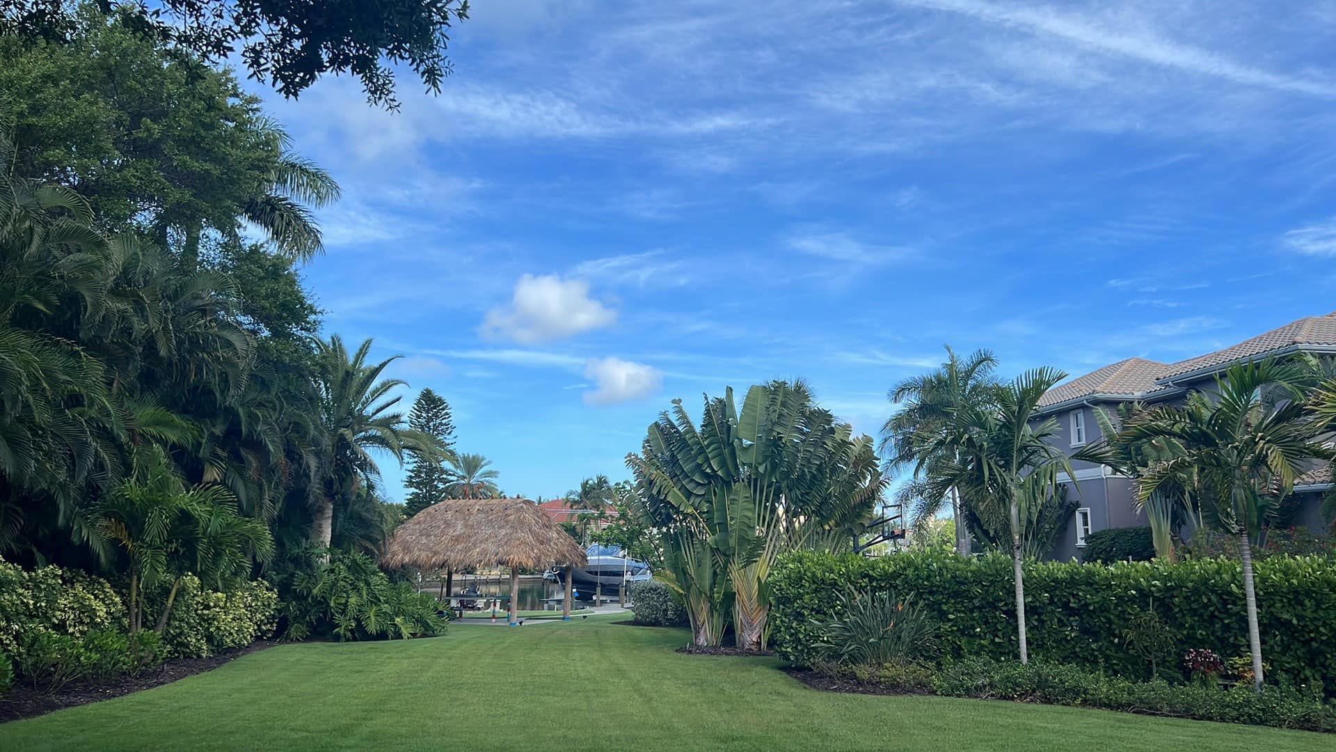 Lush green lawn with tropical plants and a thatched-roof structure under a bright blue sky.