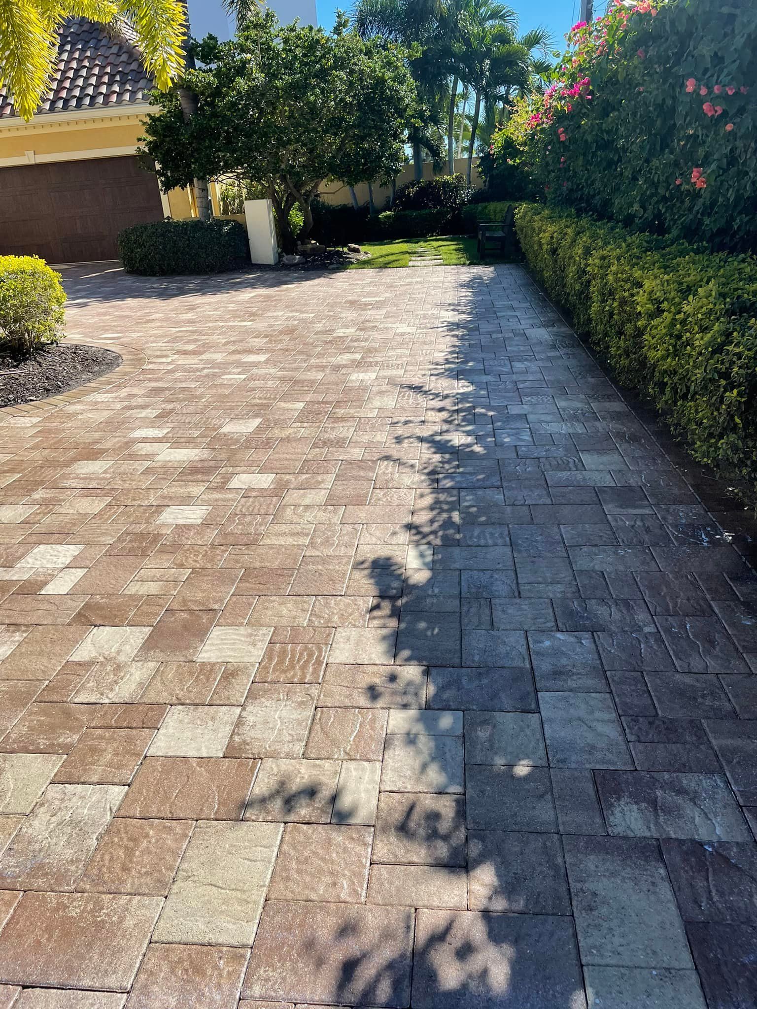 Brick pavers walkway with trees and greenery under bright sunlight.