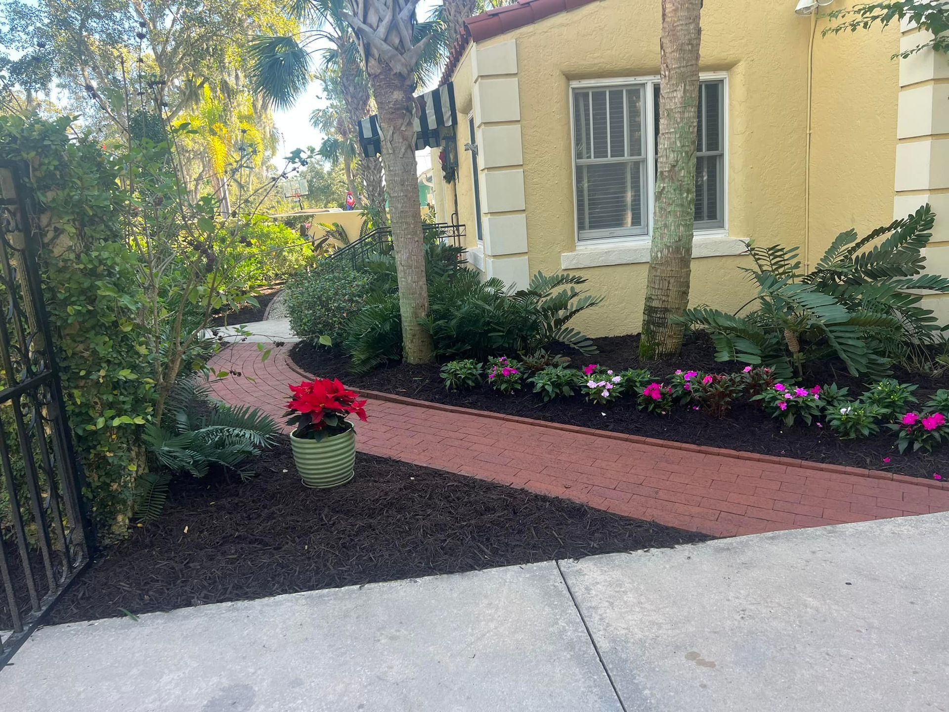 Brick walkway lined with flowers and shrubs leading to a yellow building. A potted poinsettia sits on the path.