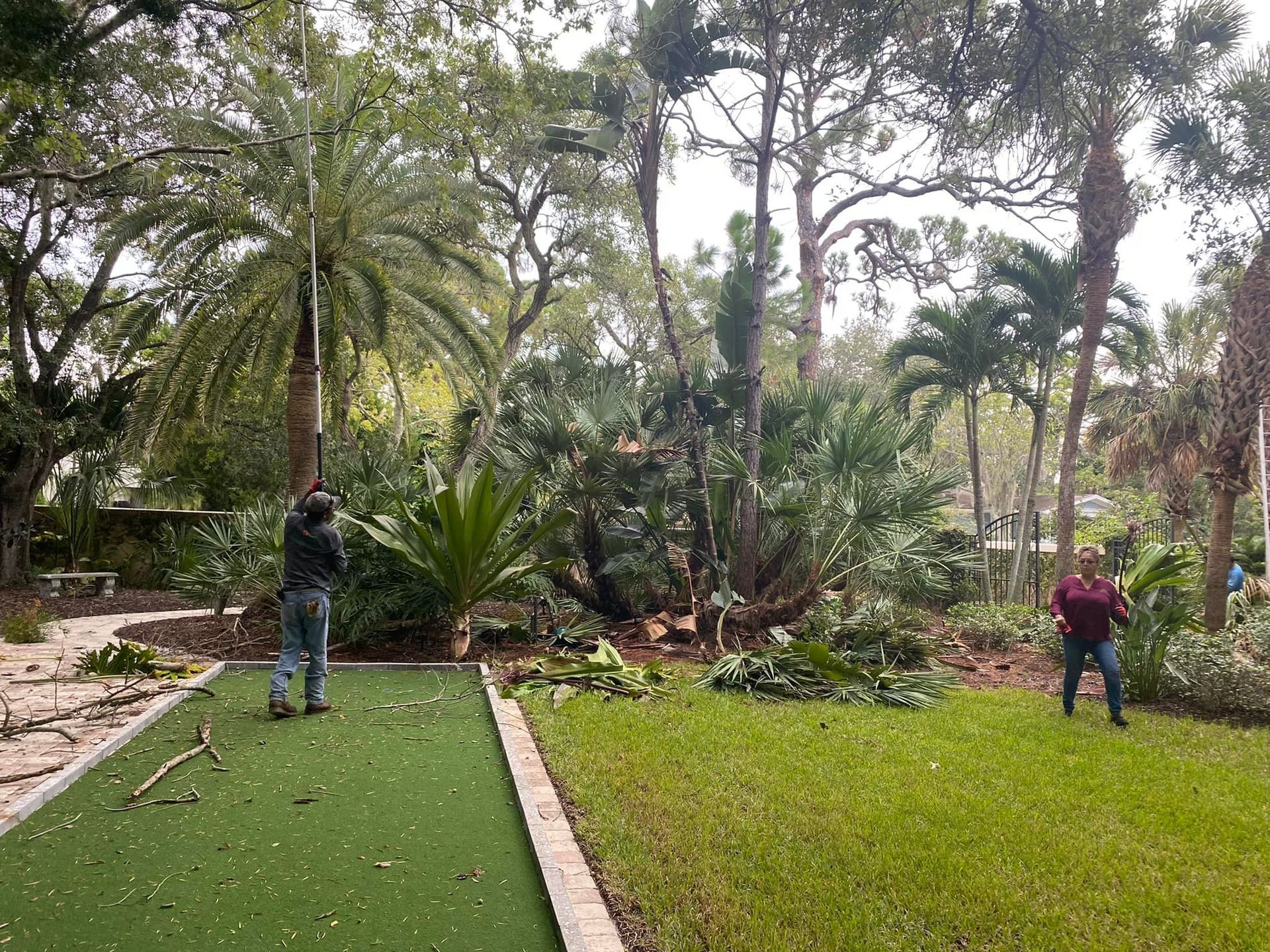 Two people trimming trees in a yard with green grass, surrounded by diverse plants and trees.