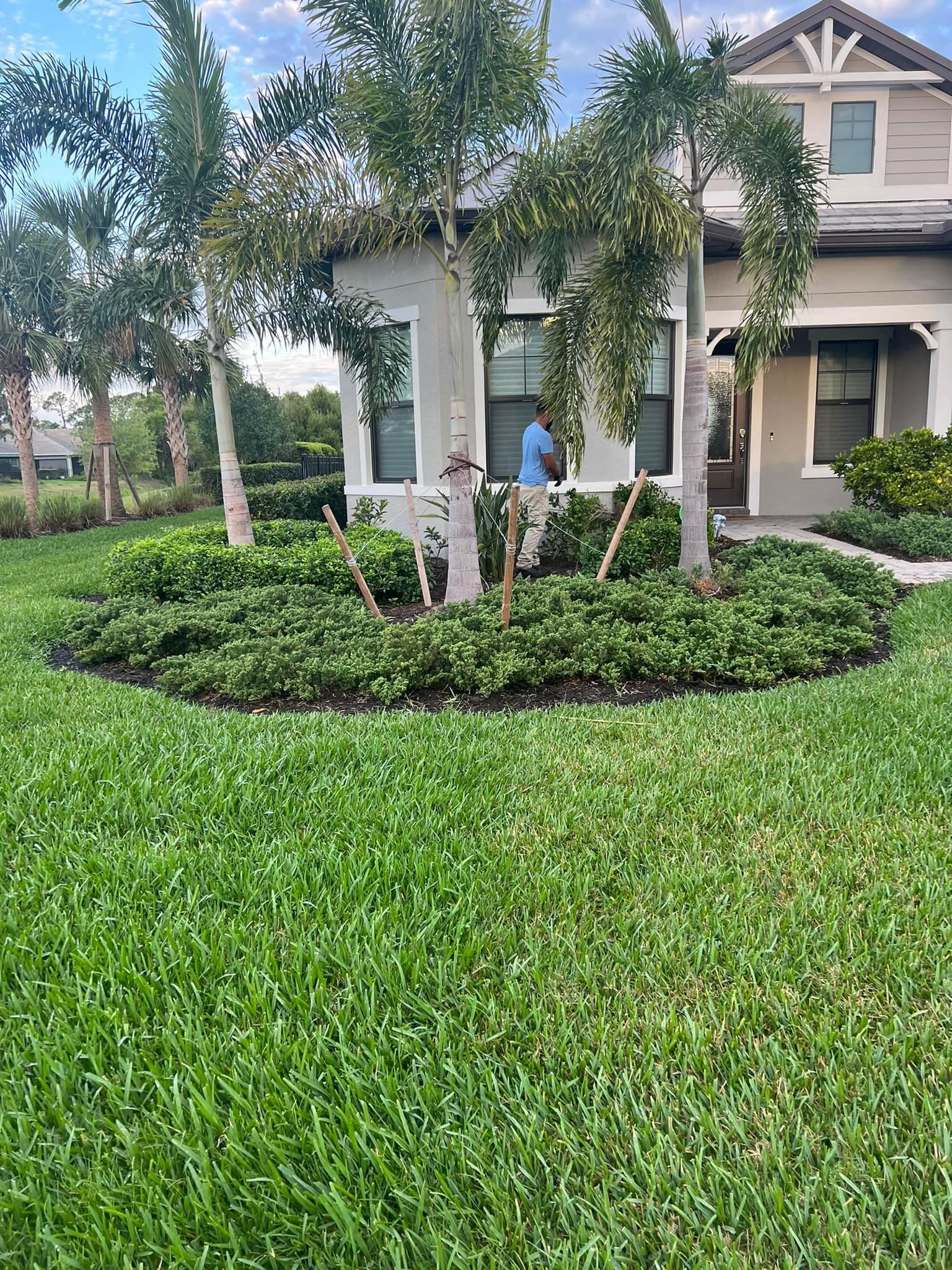 A person tending plants in front of a house. Lush green lawn, palm trees, and gray siding.