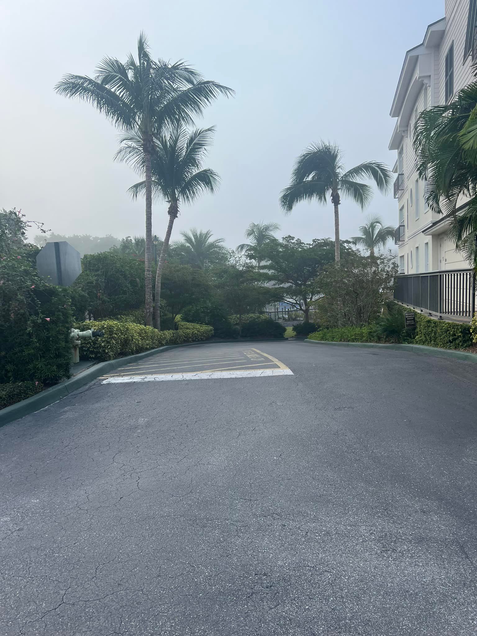 Paved area with palm trees, shrubs, and building in the background on a hazy day.