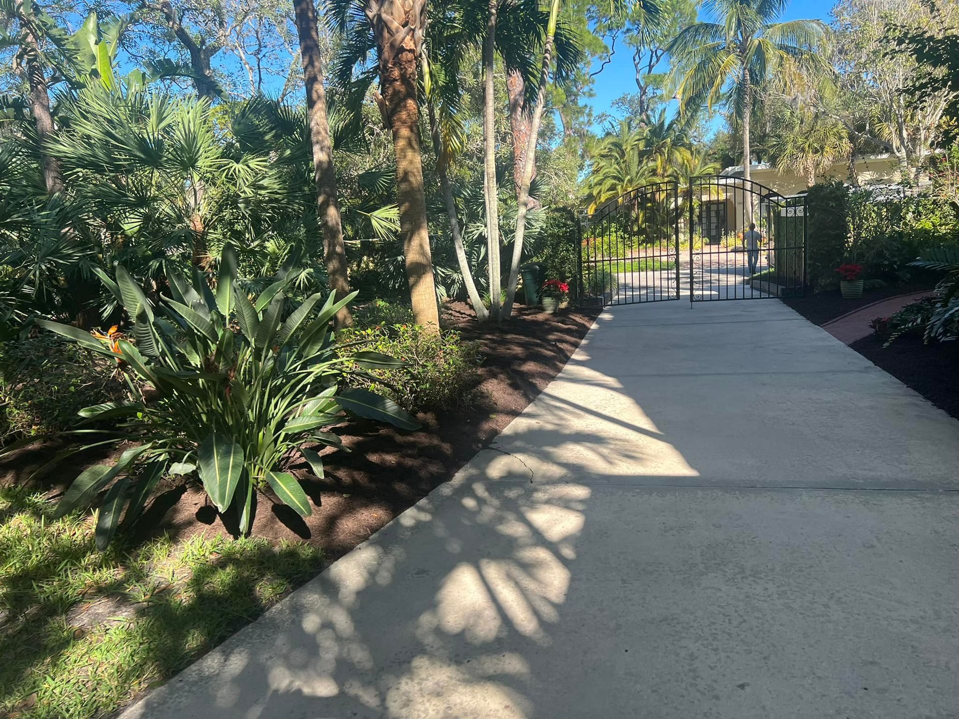 Concrete pathway beside landscaped garden leading to a gated area. Sun casts shadows.