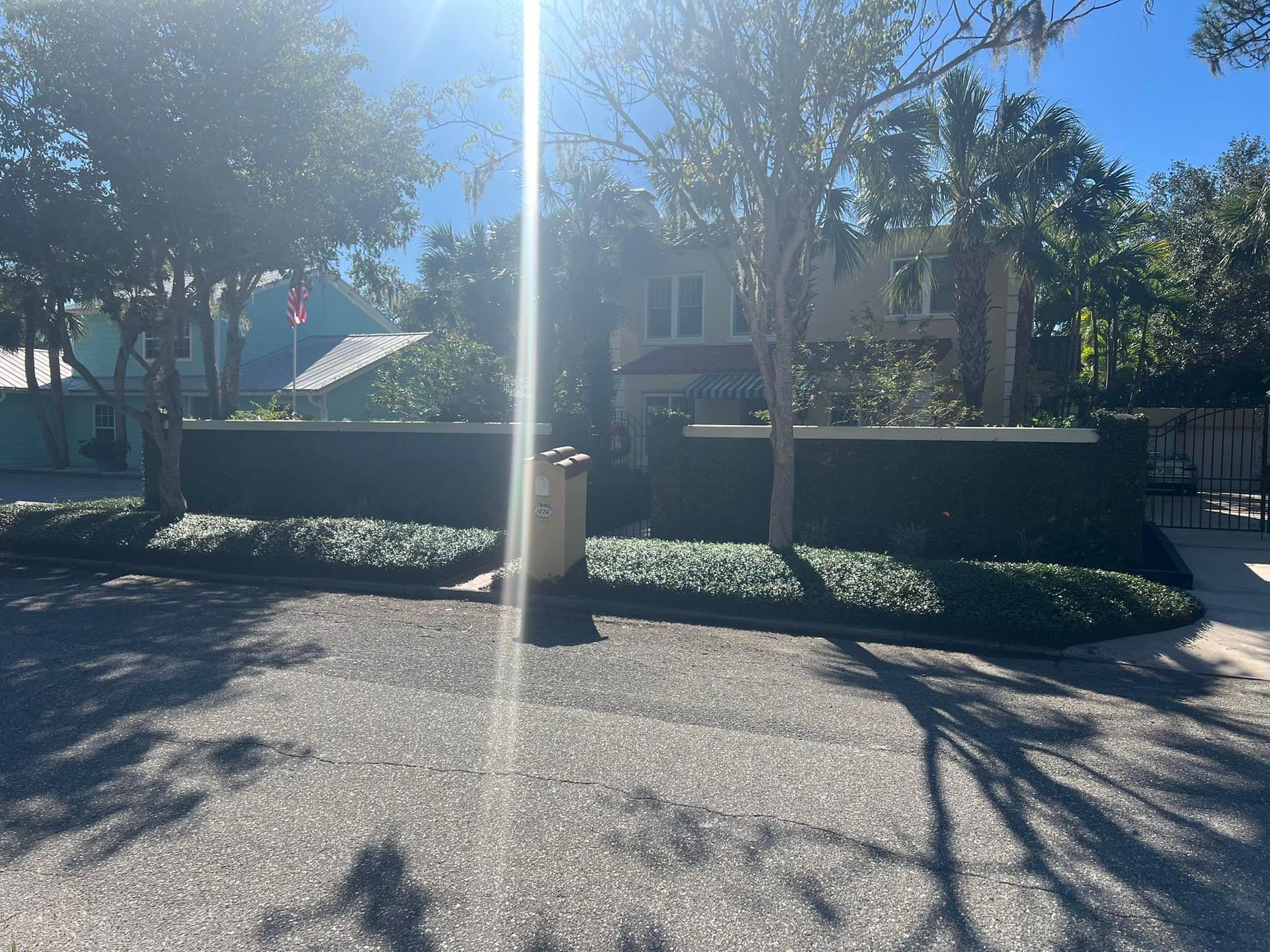 A house with a manicured hedge and trees, with bright sunlight shining down.