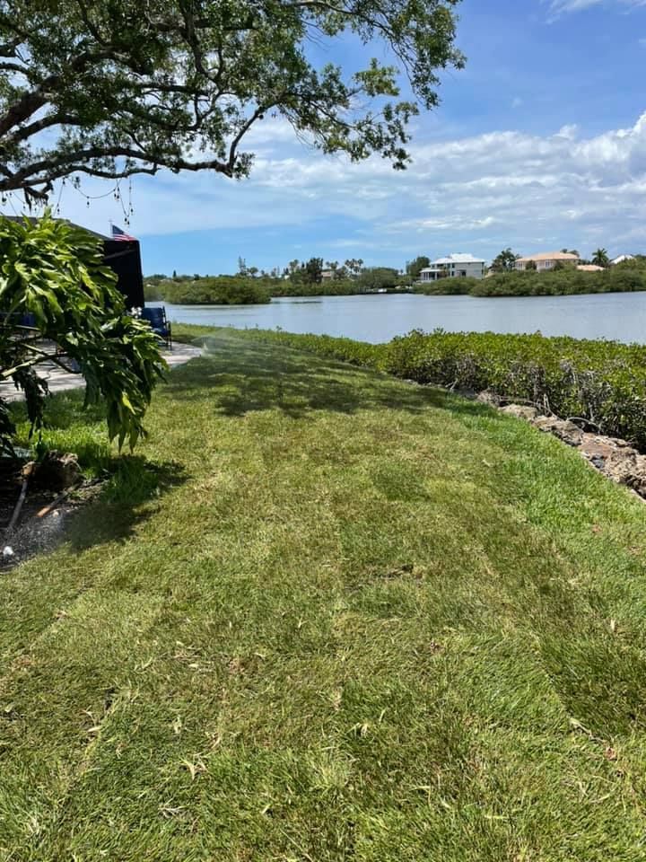 Green grass near water with a tree on the left, blue sky with clouds in the background.