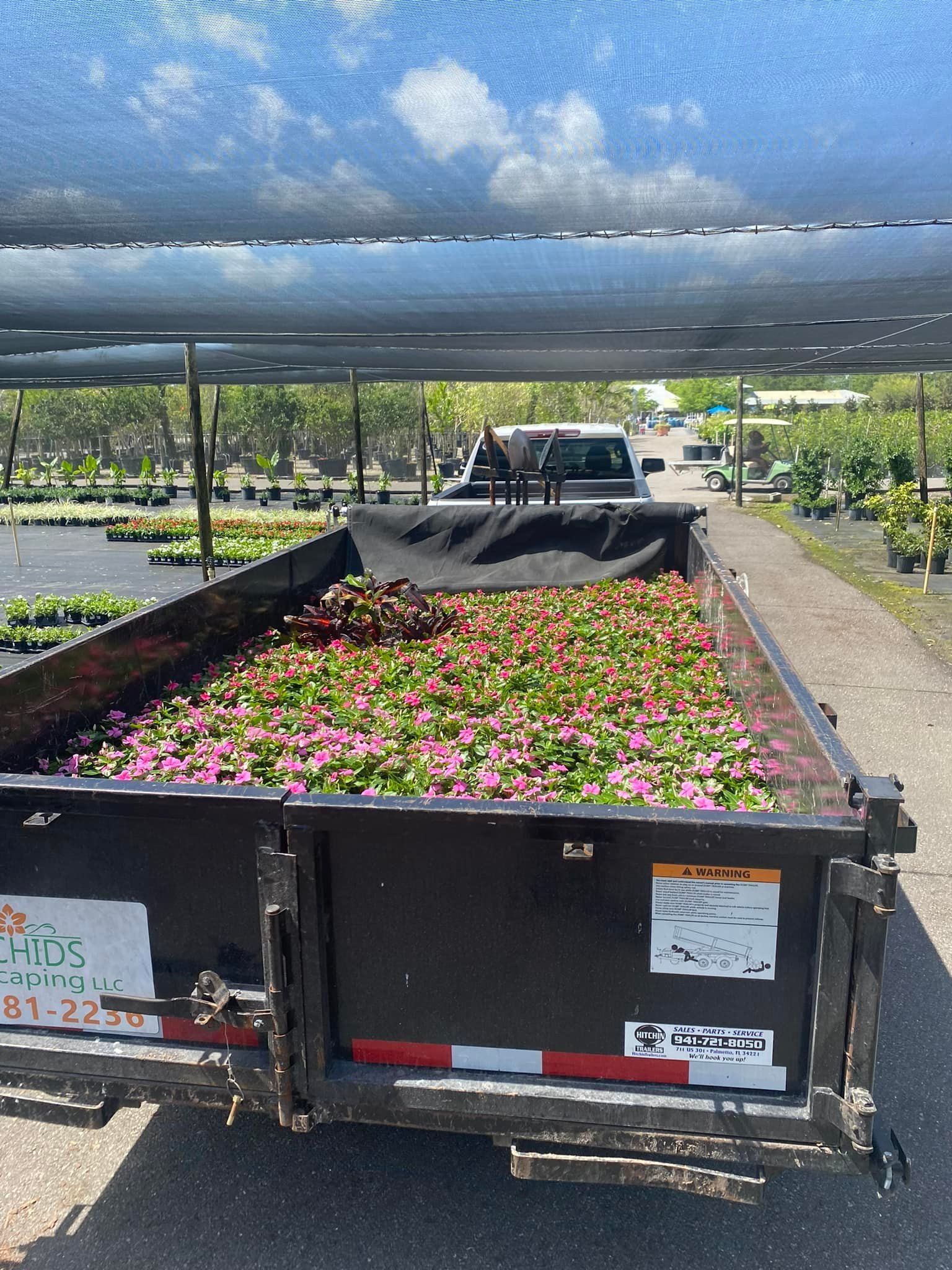 Dump truck filled with pink and red flowers, parked under a shade cloth at a plant nursery.