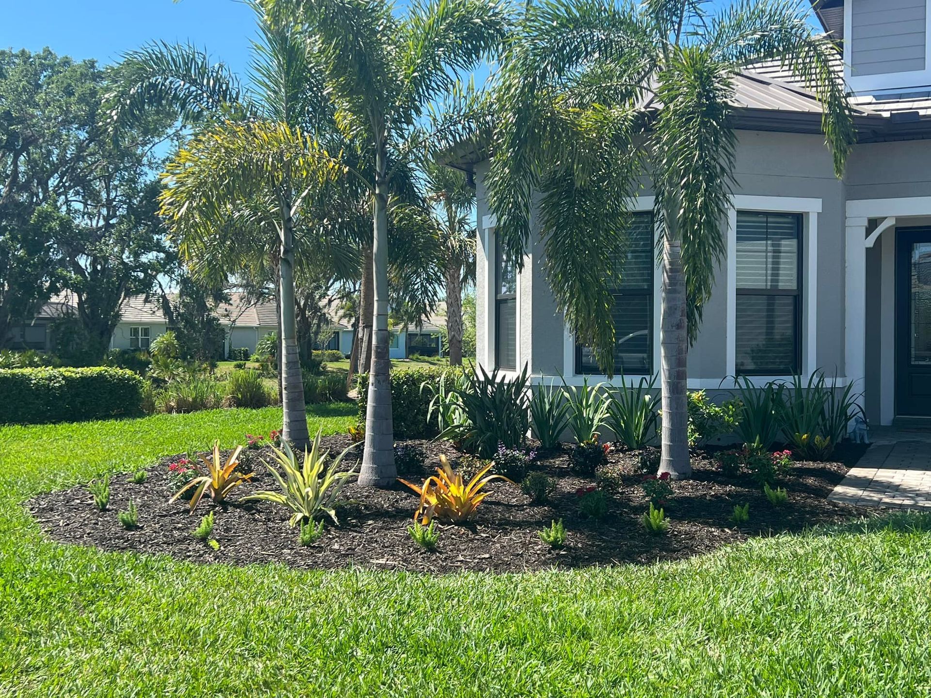 Landscaped front yard with palm trees, shrubs, and mulch bed in front of a gray house.