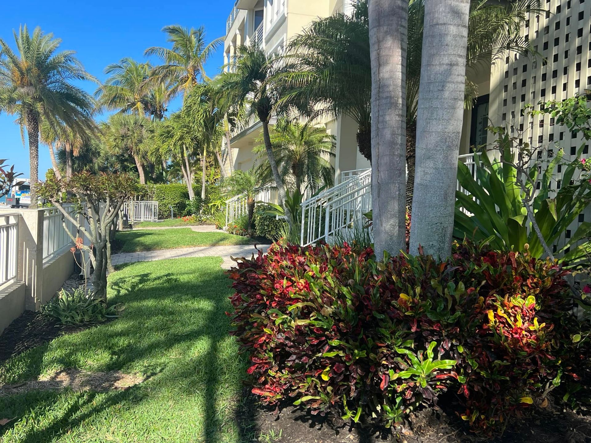 Lush green coastal scene with building, palm trees, and colorful shrubbery. Sunny day.