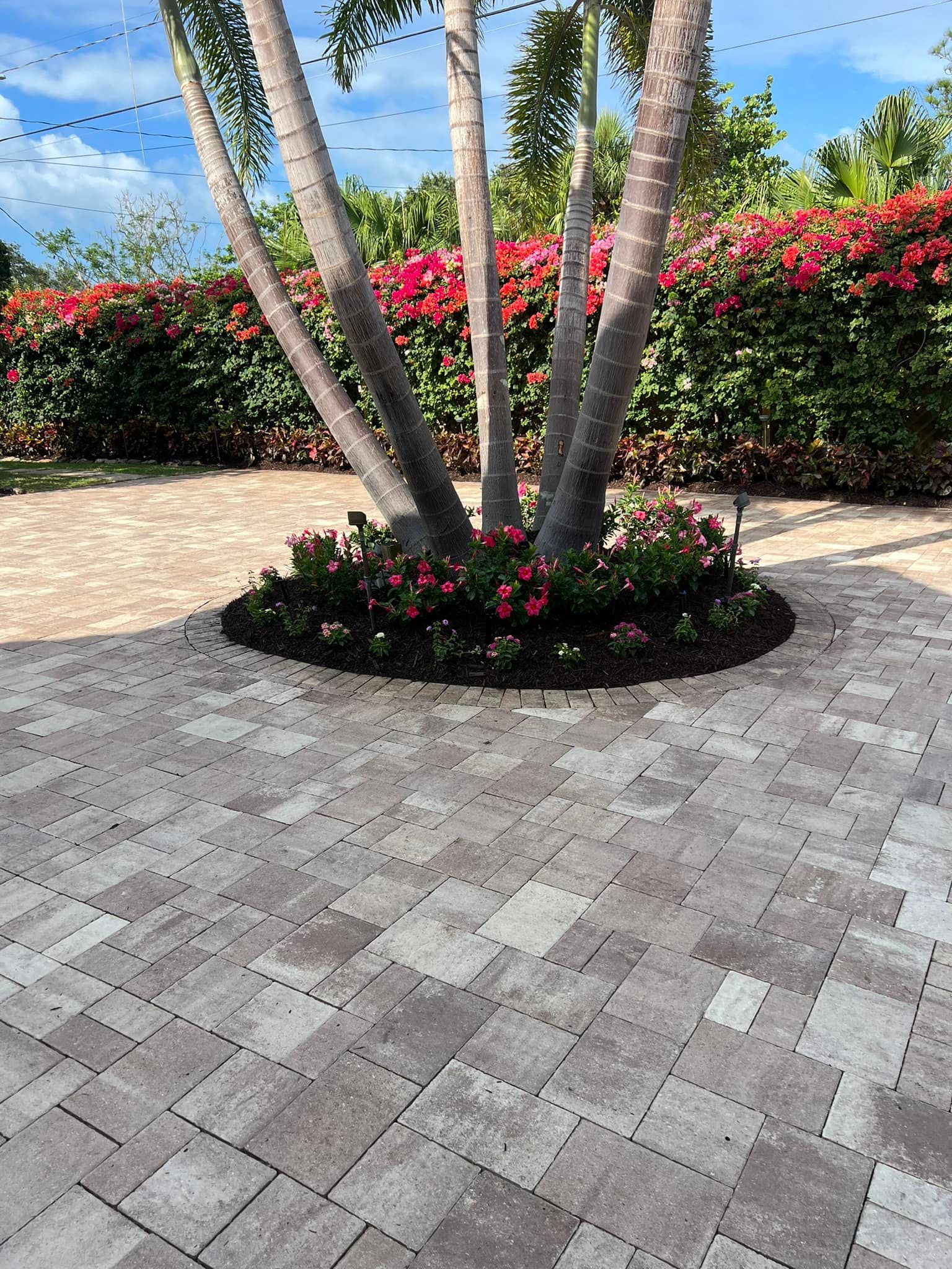 Brick patio surrounds a palm tree, with a flower bed and red flowering bushes in the background.