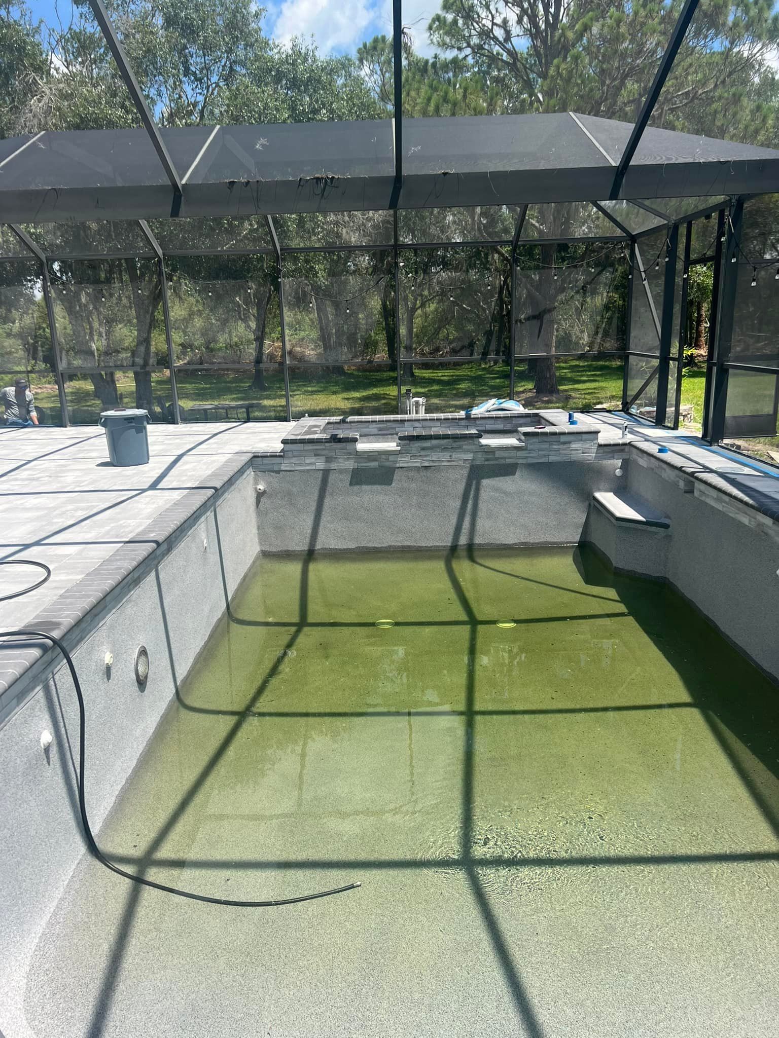 A green, algae-filled swimming pool under a screened enclosure.