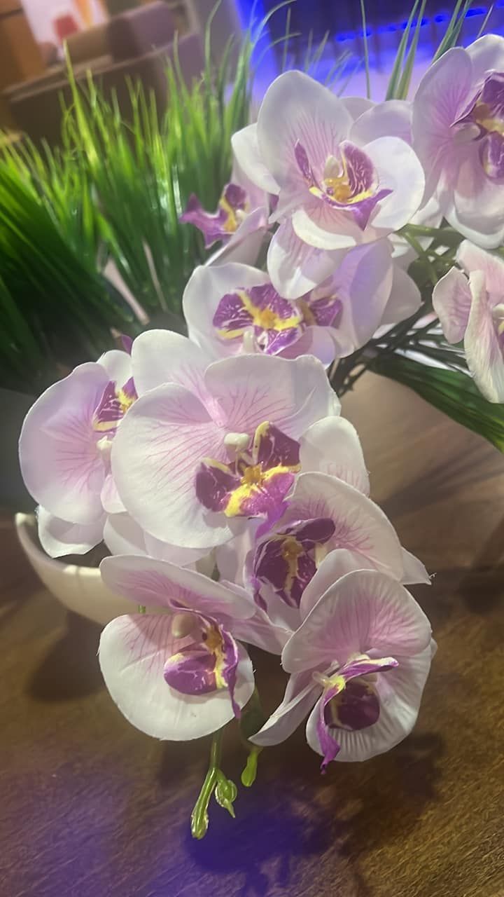 White and light purple orchids with yellow and dark purple centers.