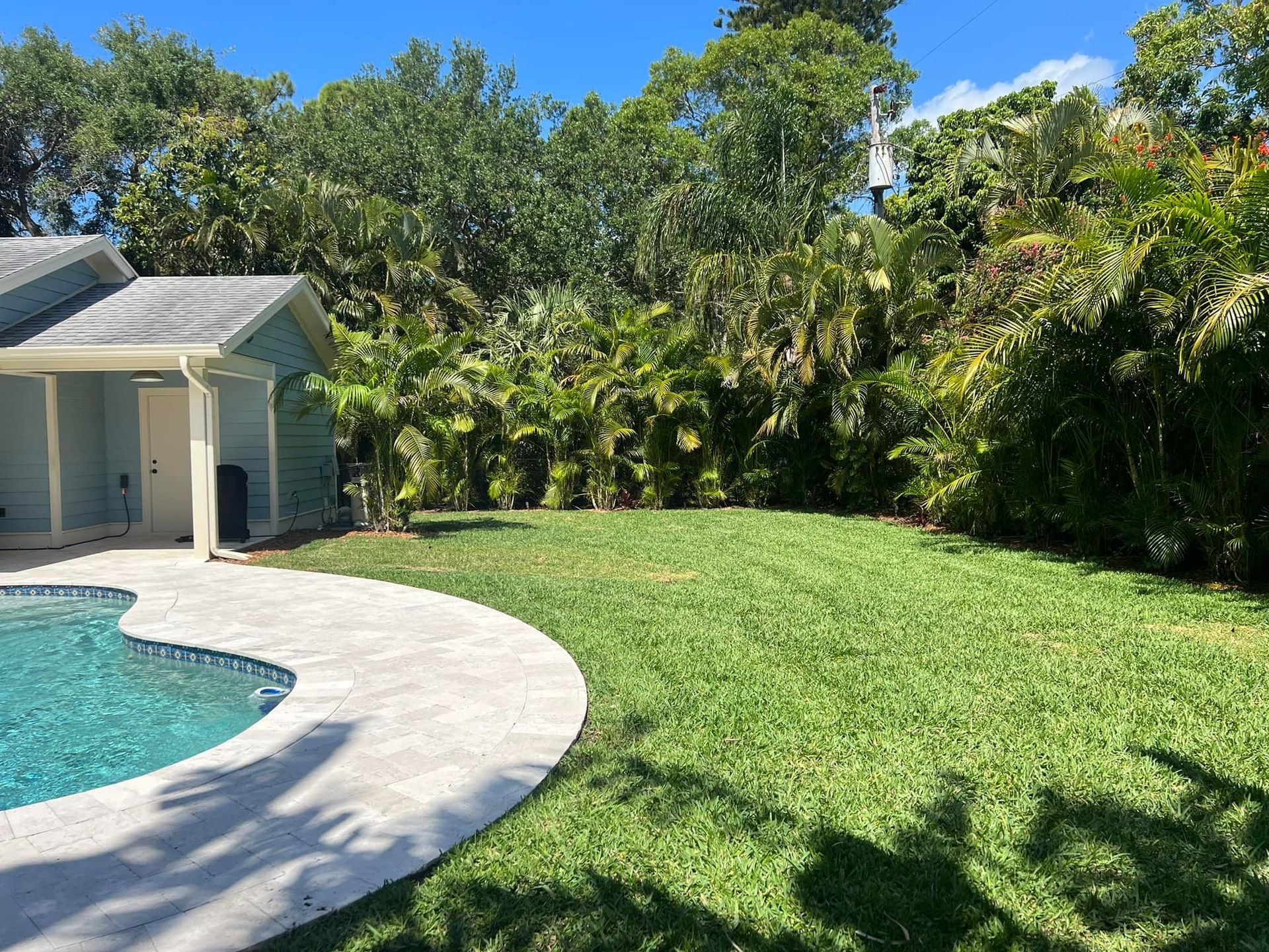 Backyard with pool and green lawn, surrounded by lush vegetation and a blue-colored house.