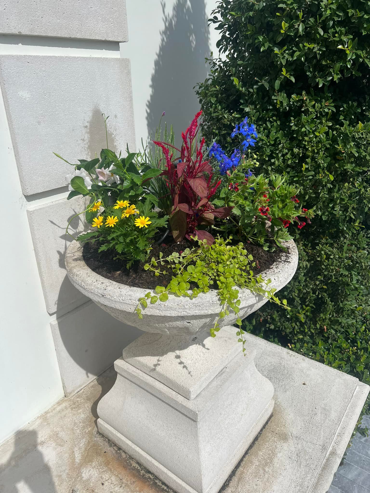 Stone planter overflowing with colorful flowers: yellow, red, blue, and green, beside a wall and greenery.