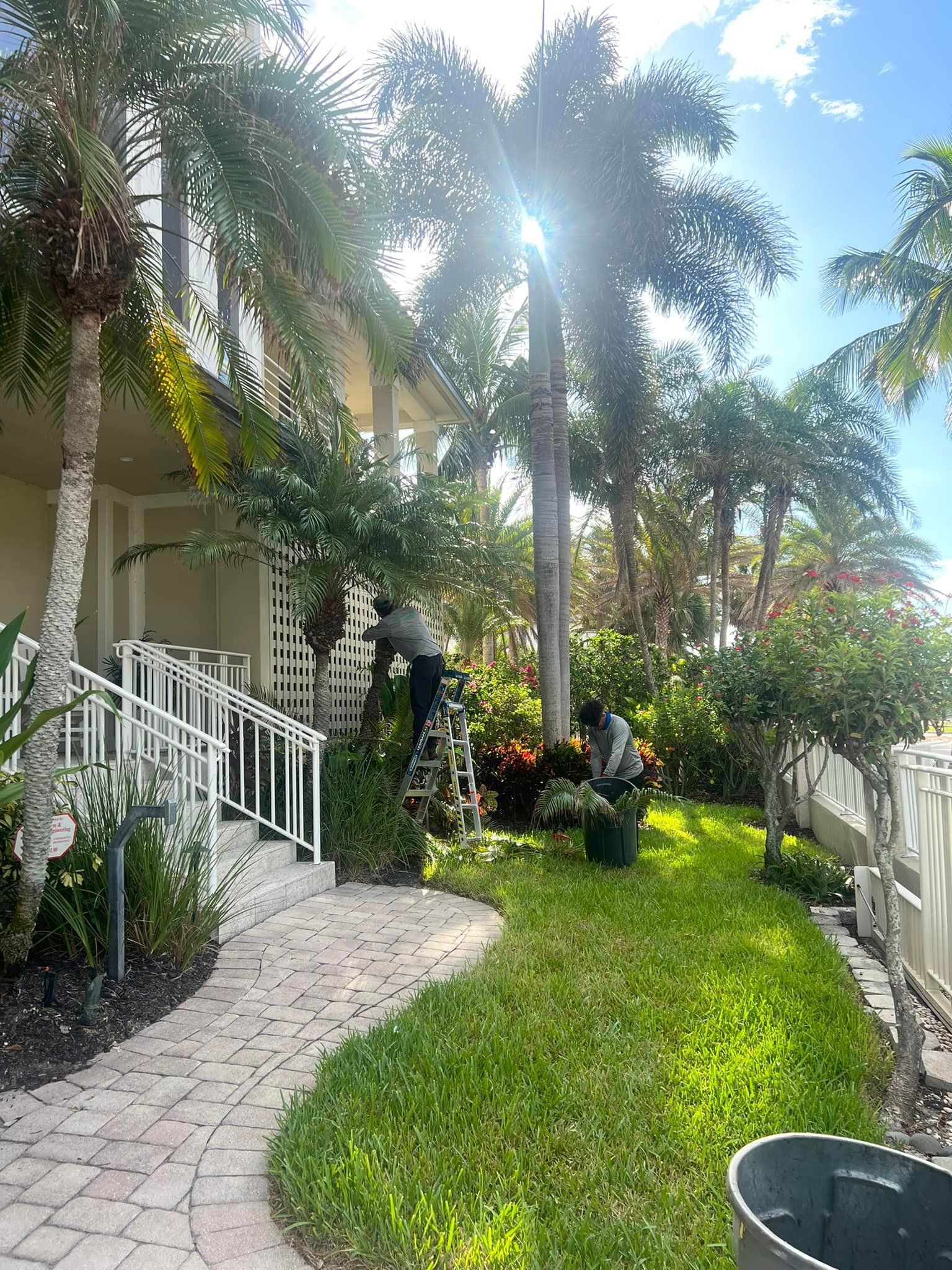 Two people trimming bushes and a tree in front of a building with palm trees. Sunny day.