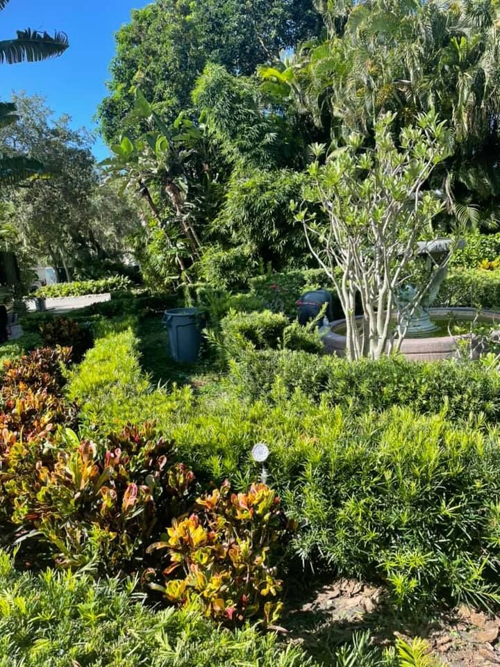 Lush green garden with diverse plants, shrubs, and trees under a bright blue sky.