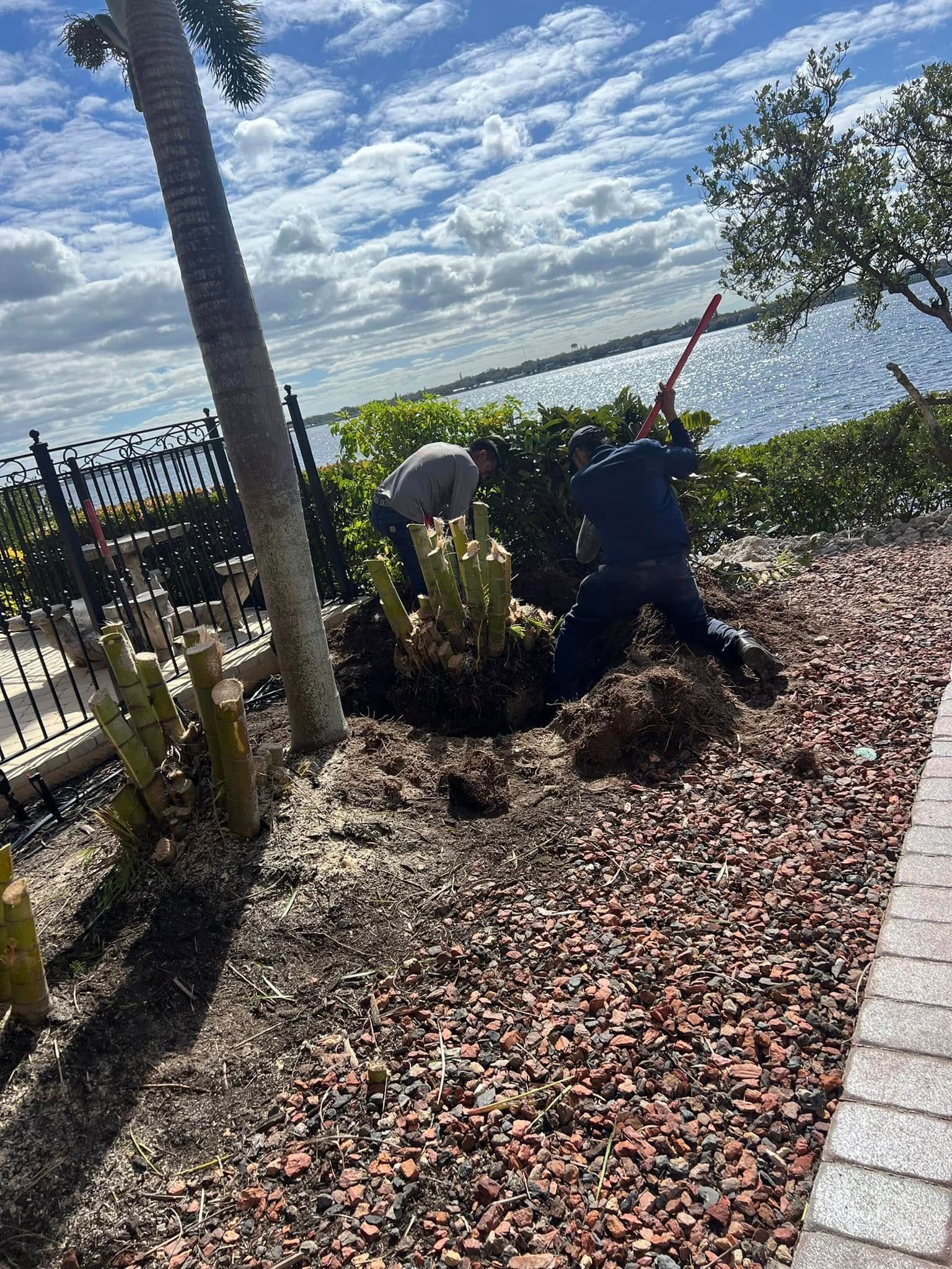 Two people digging in a garden bed near water under a partly cloudy sky.