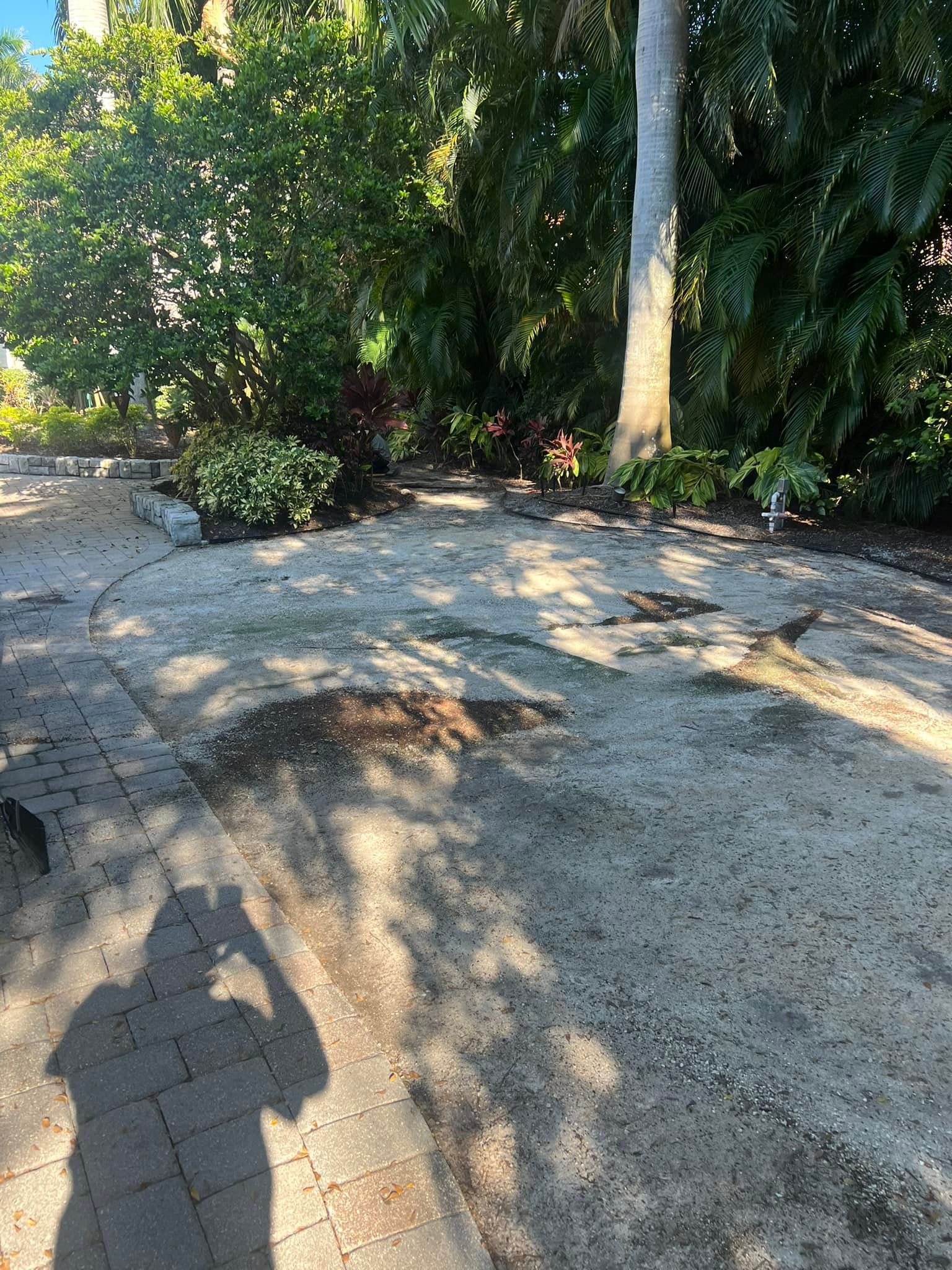 A sandy area with shadows, surrounded by trees and plants. A brick walkway is on the left.