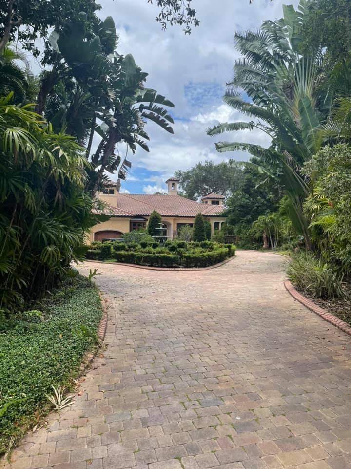 Brick driveway leading to a house surrounded by lush green foliage and blue sky.