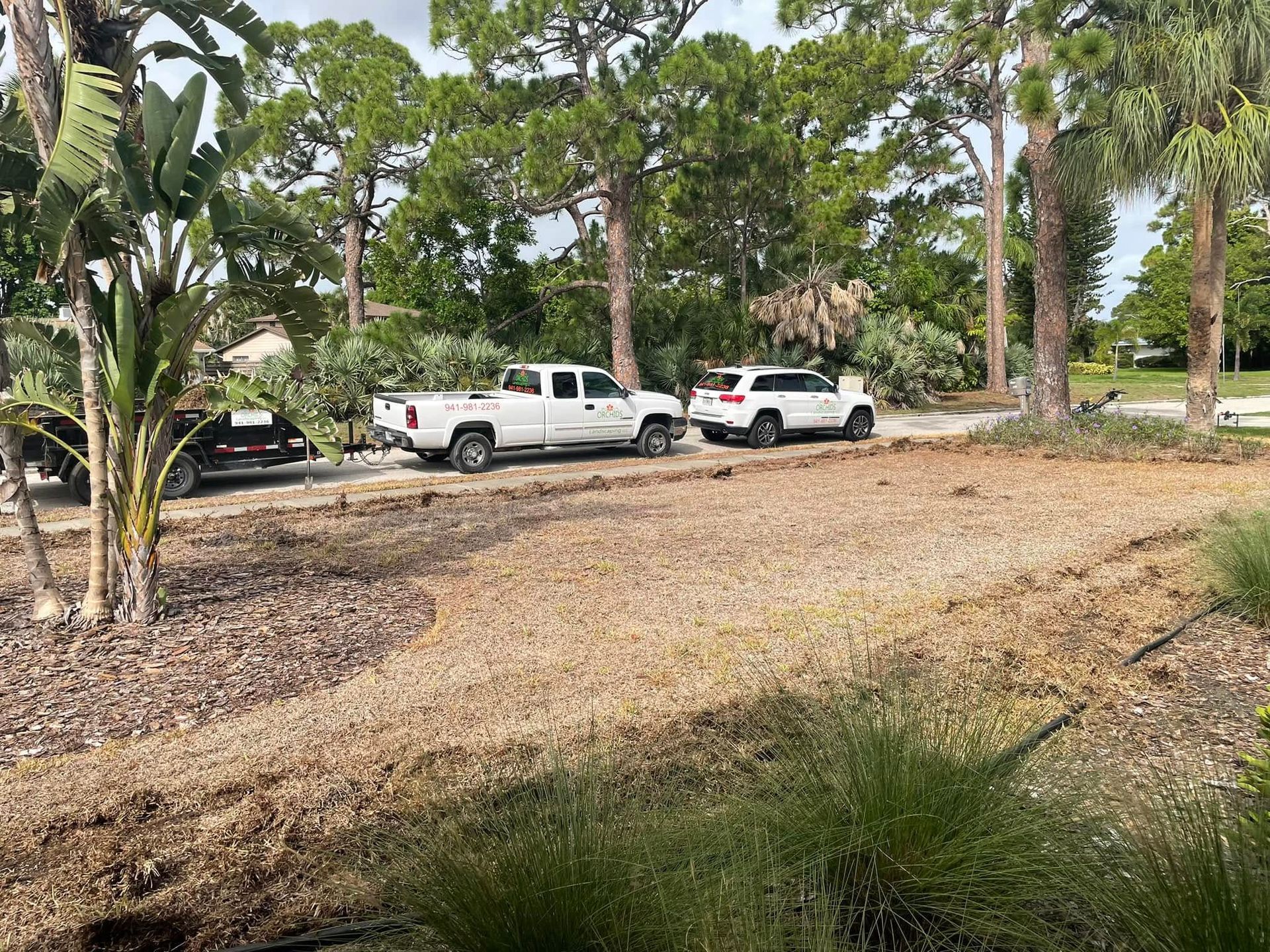 A gravel driveway with three vehicles parked in front of trees and lush greenery.