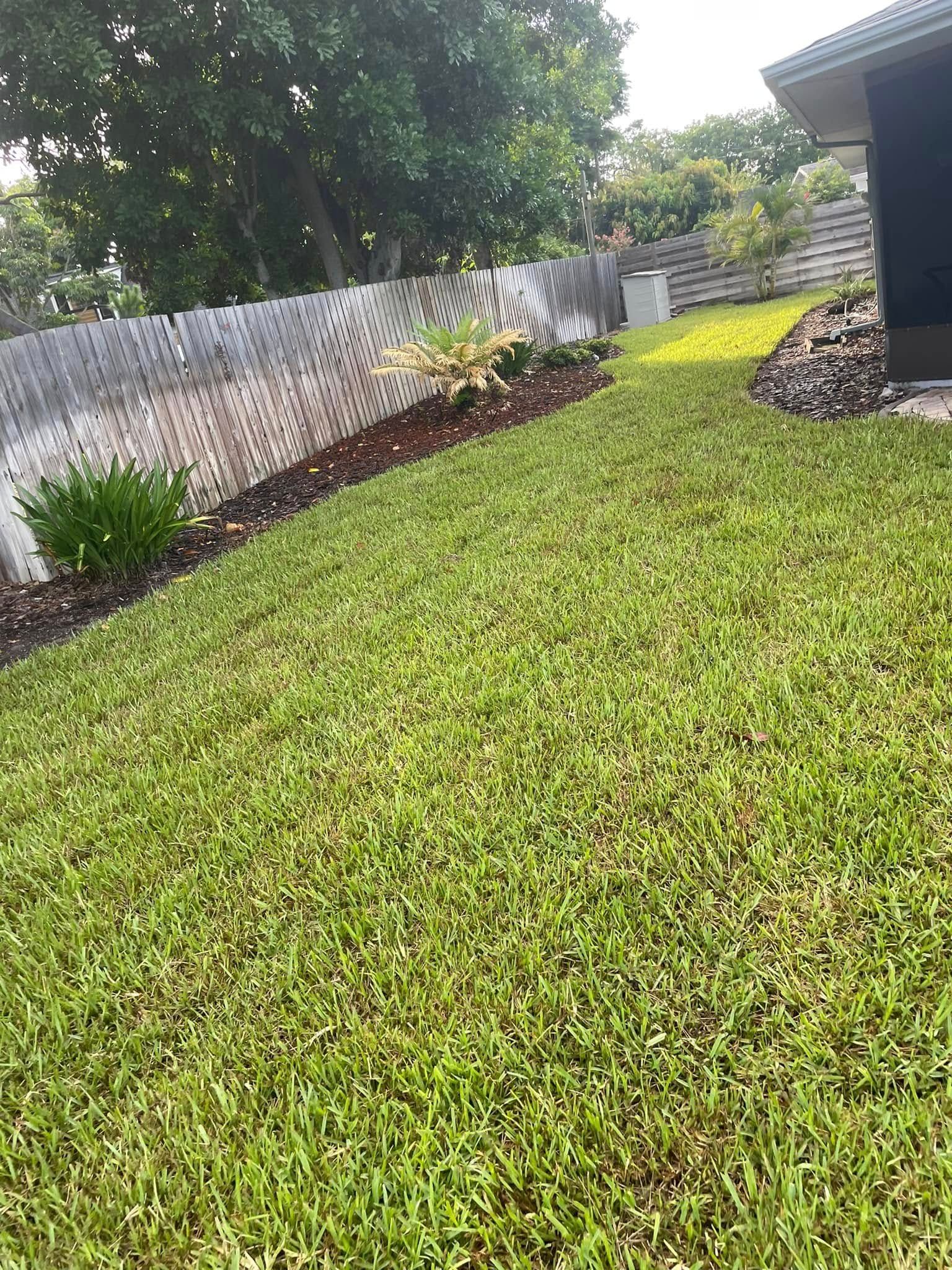 Lush green lawn alongside a fence and flower bed. A house is on the right.