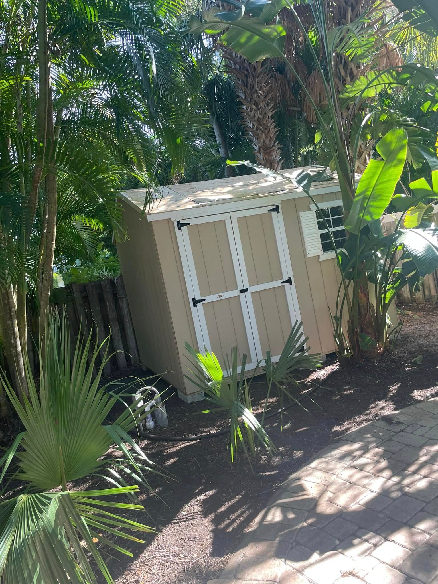Tan storage shed surrounded by green plants and trees in a sunny backyard setting.