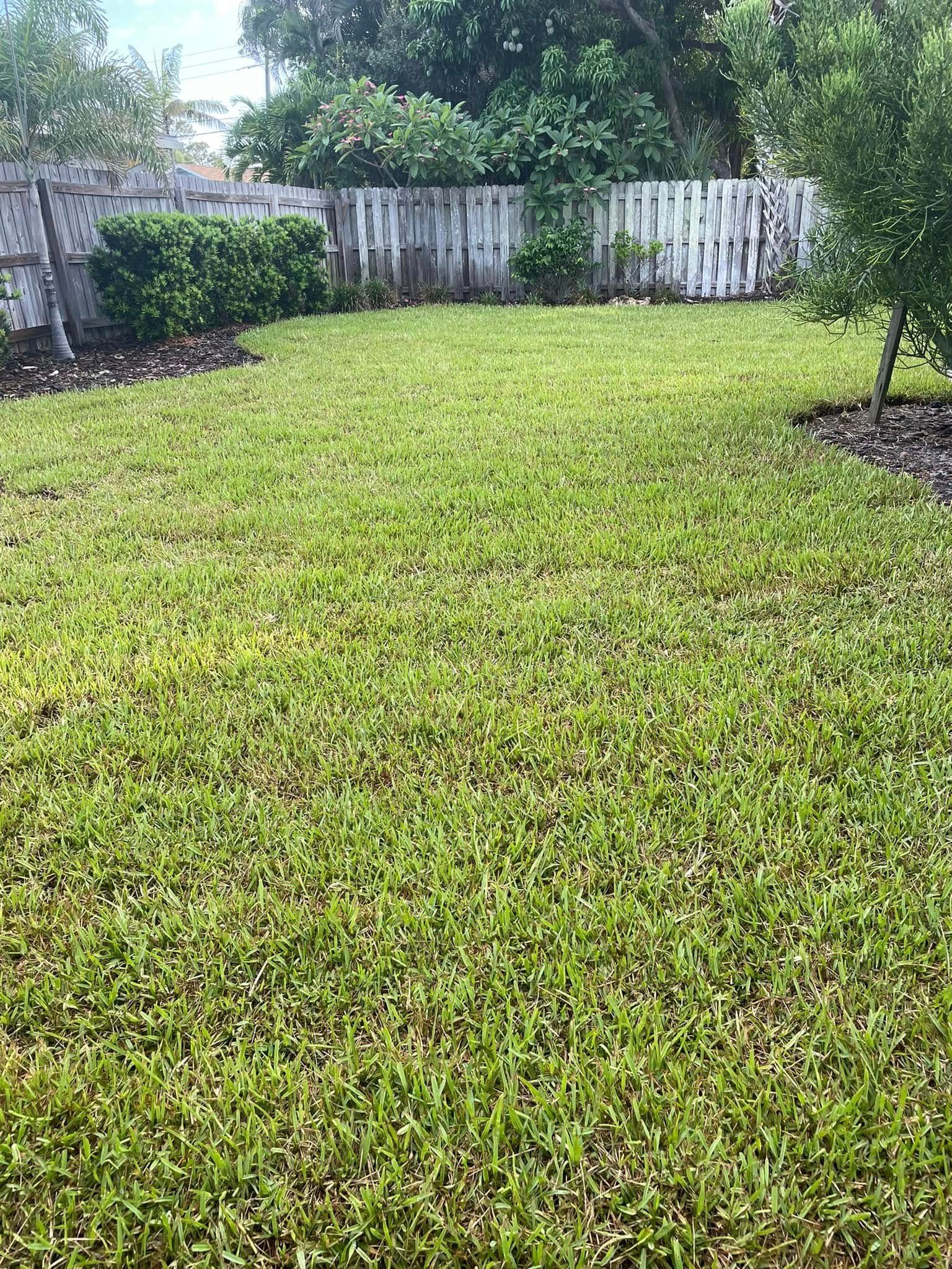 Green grassy backyard with a white fence and bushes.