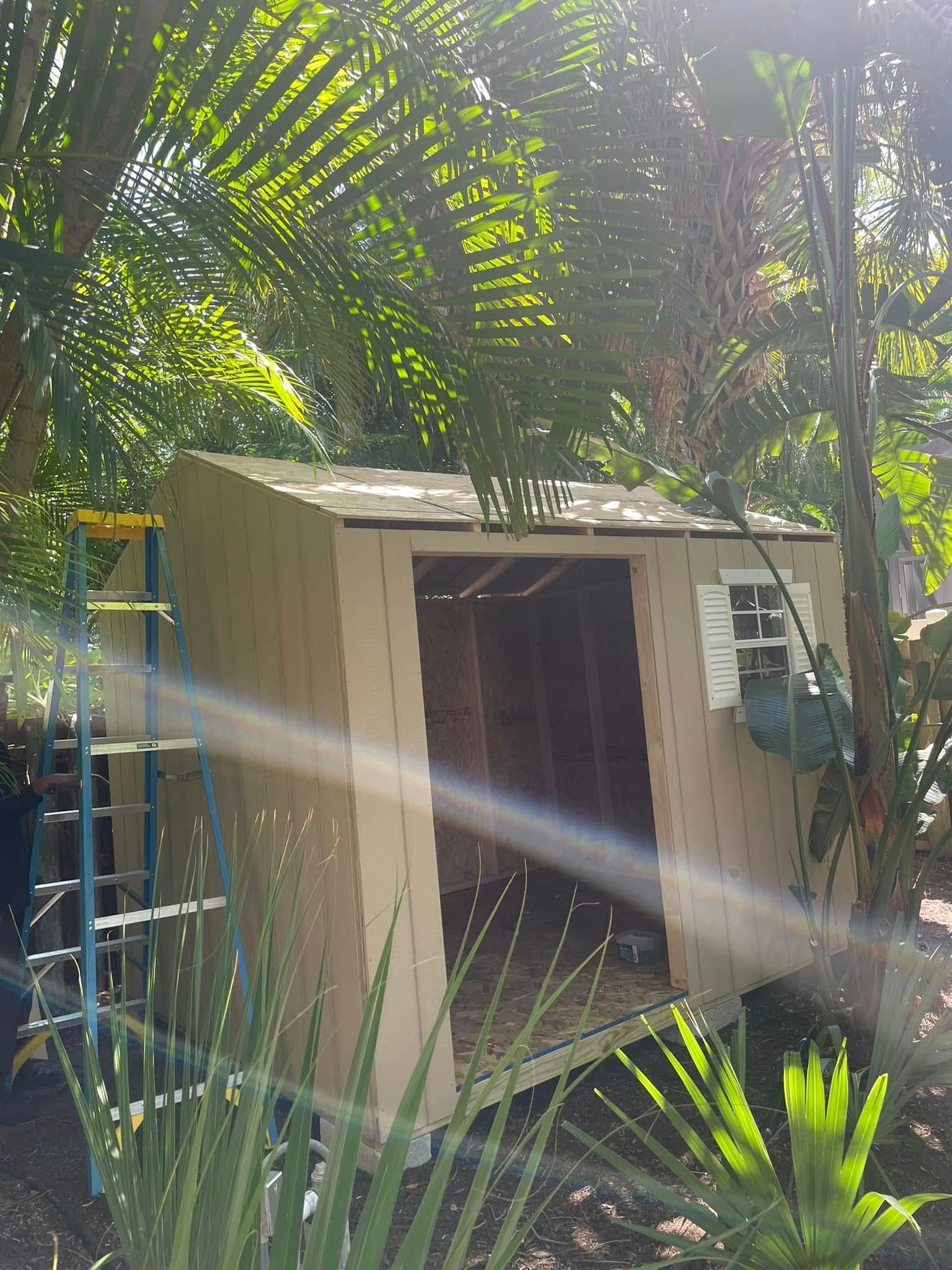 Tan shed with open doorway, white window, and ladder, set in a sunny, green, overgrown garden.